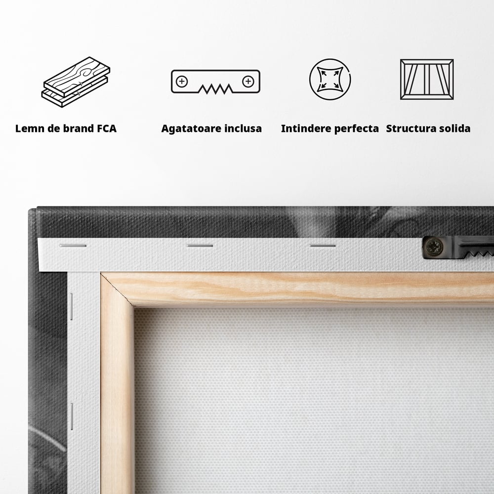 Tablou Canvas Premium, LuxCanva® P1070, Prizoniera Noptii, Tocuri, Femeie, Boudoir, Alb, Negru, Masca, Sexy, Seductie, Intimitate, Dormitor, Living
