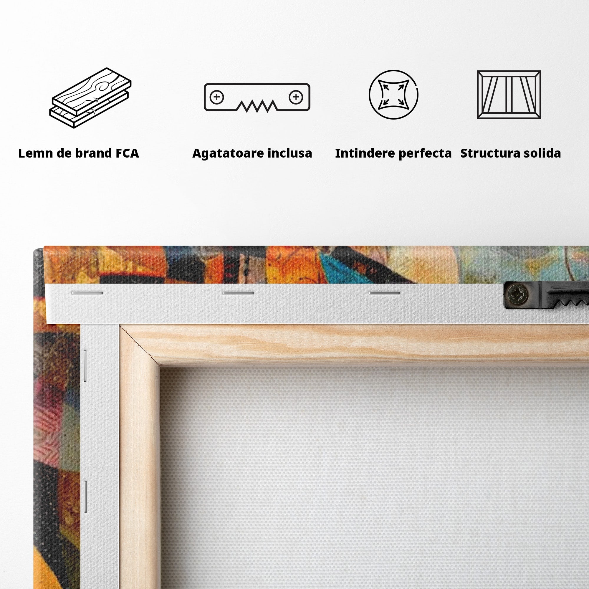 Tablou Canvas Premium LuxCanva® PI1002, Calaret Abstract, Calaret, Abstract, Arta Moderna, Eleganta, Living, Culori Vibrante