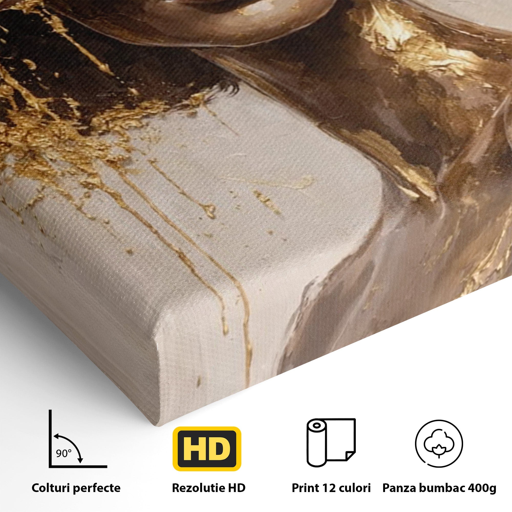 Tablou Canvas Premium LuxCanva® PI1003, Femeie Cu Palarie Eleganta, Femeie, Portret, Palarie, Eleganta, Living, Culori Vibrante