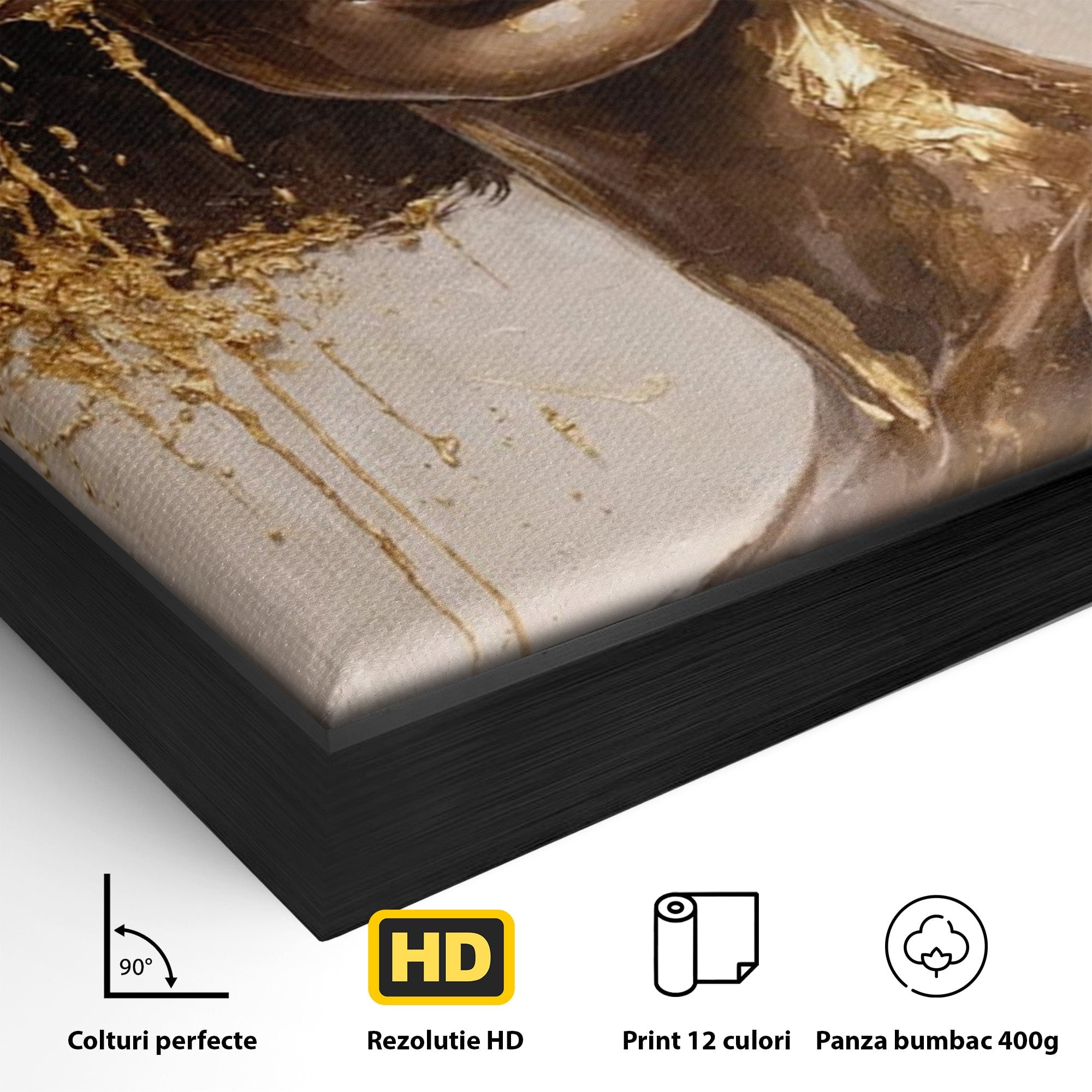 Tablou Canvas Premium LuxCanva® PI1003, Femeie Cu Palarie Eleganta, Femeie, Portret, Palarie, Eleganta, Living, Culori Vibrante