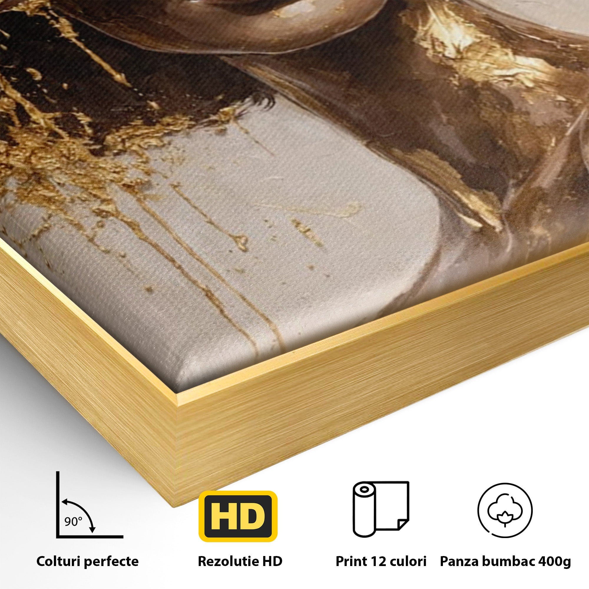 Tablou Canvas Premium LuxCanva® PI1003, Femeie Cu Palarie Eleganta, Femeie, Portret, Palarie, Eleganta, Living, Culori Vibrante
