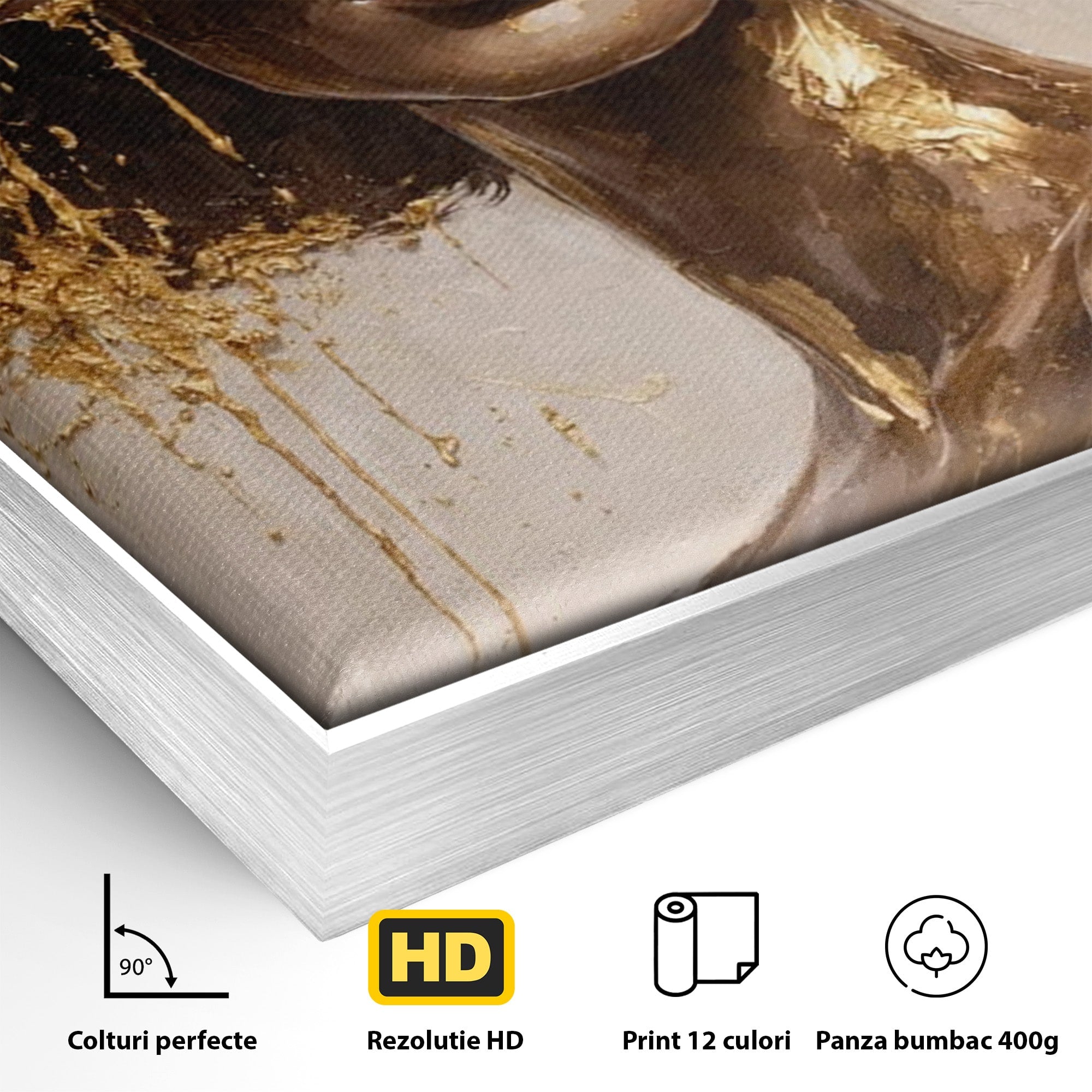 Tablou Canvas Premium LuxCanva® PI1003, Femeie Cu Palarie Eleganta, Femeie, Portret, Palarie, Eleganta, Living, Culori Vibrante