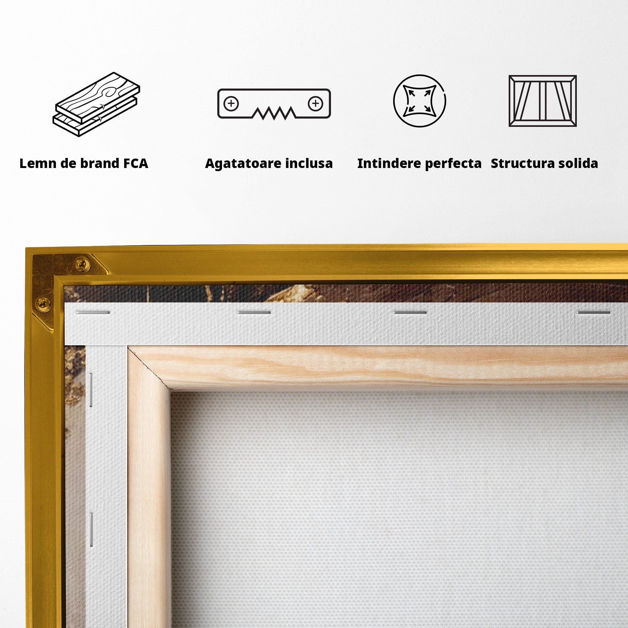 Tablou Canvas Premium LuxCanva® PI1003, Femeie Cu Palarie Eleganta, Femeie, Portret, Palarie, Eleganta, Living, Culori Vibrante