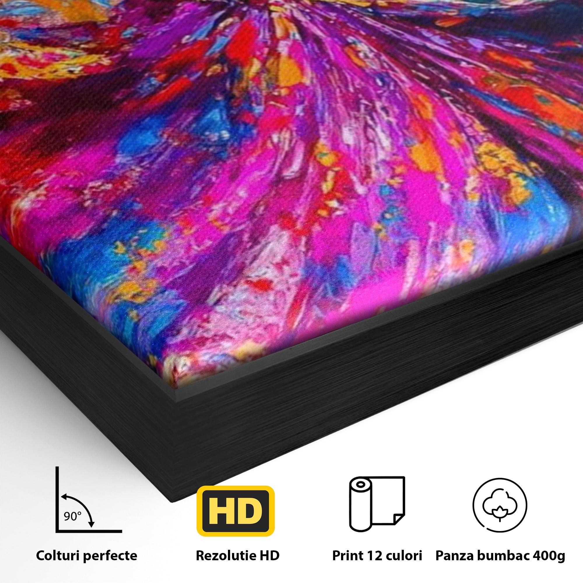 Tablou Canvas Premium LuxCanva® PI1011, Dansatoare Indiana, Dans, Cultura, Exotic, Living, Arta, Culori Vibrante