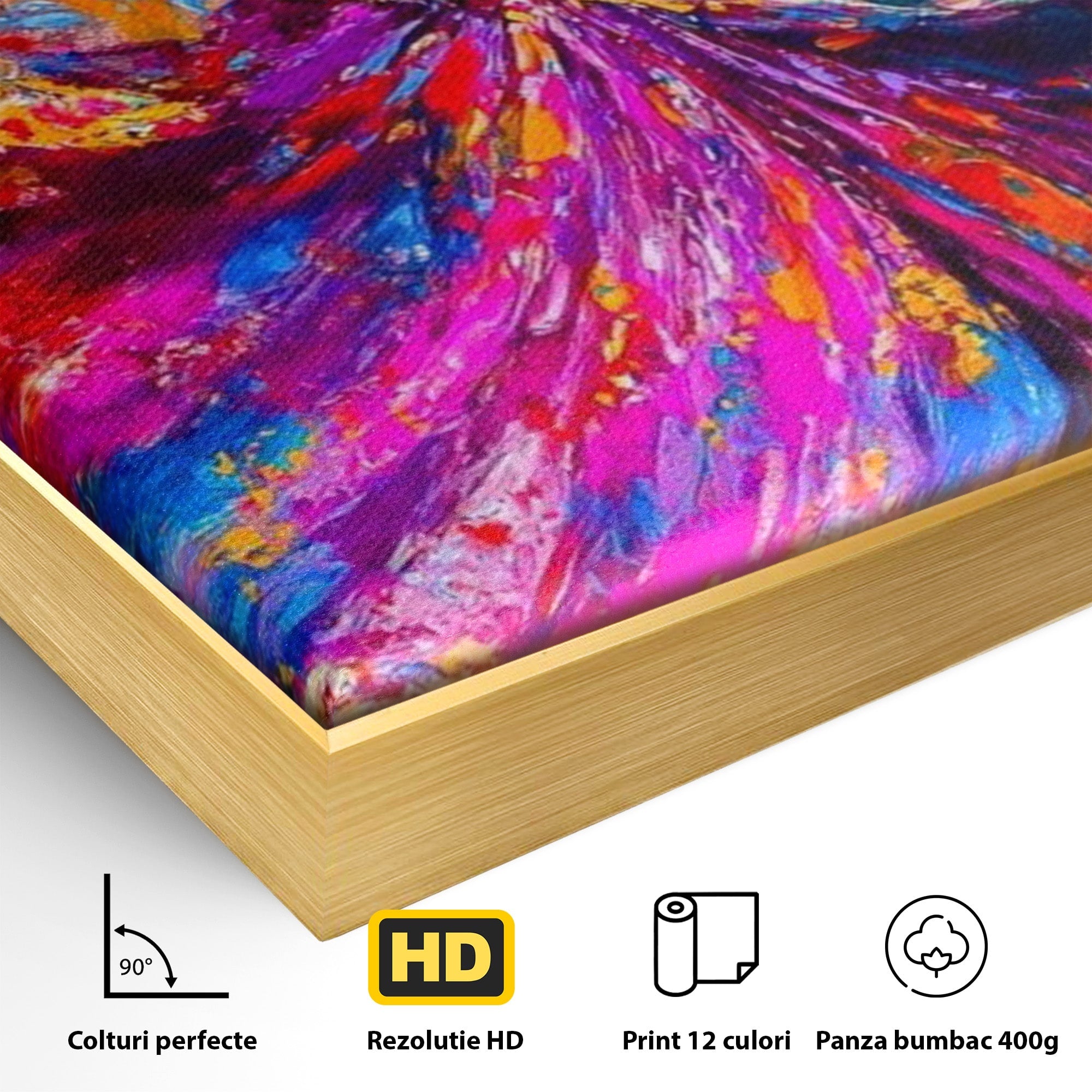Tablou Canvas Premium LuxCanva® PI1011, Dansatoare Indiana, Dans, Cultura, Exotic, Living, Arta, Culori Vibrante
