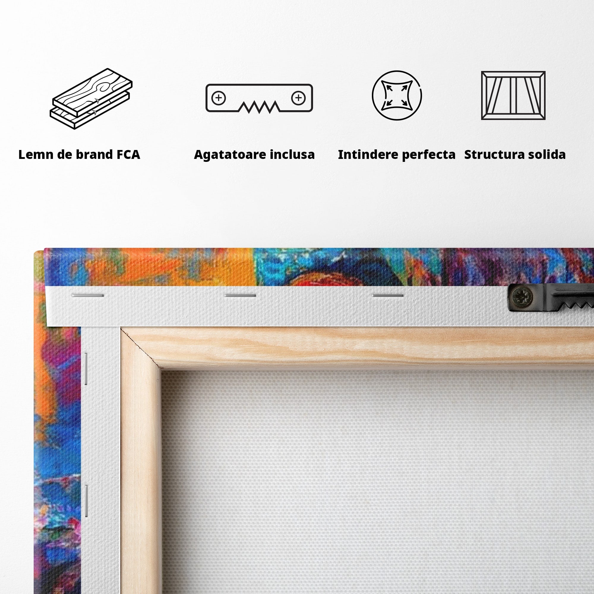 Tablou Canvas Premium LuxCanva® PI1011, Dansatoare Indiana, Dans, Cultura, Exotic, Living, Arta, Culori Vibrante