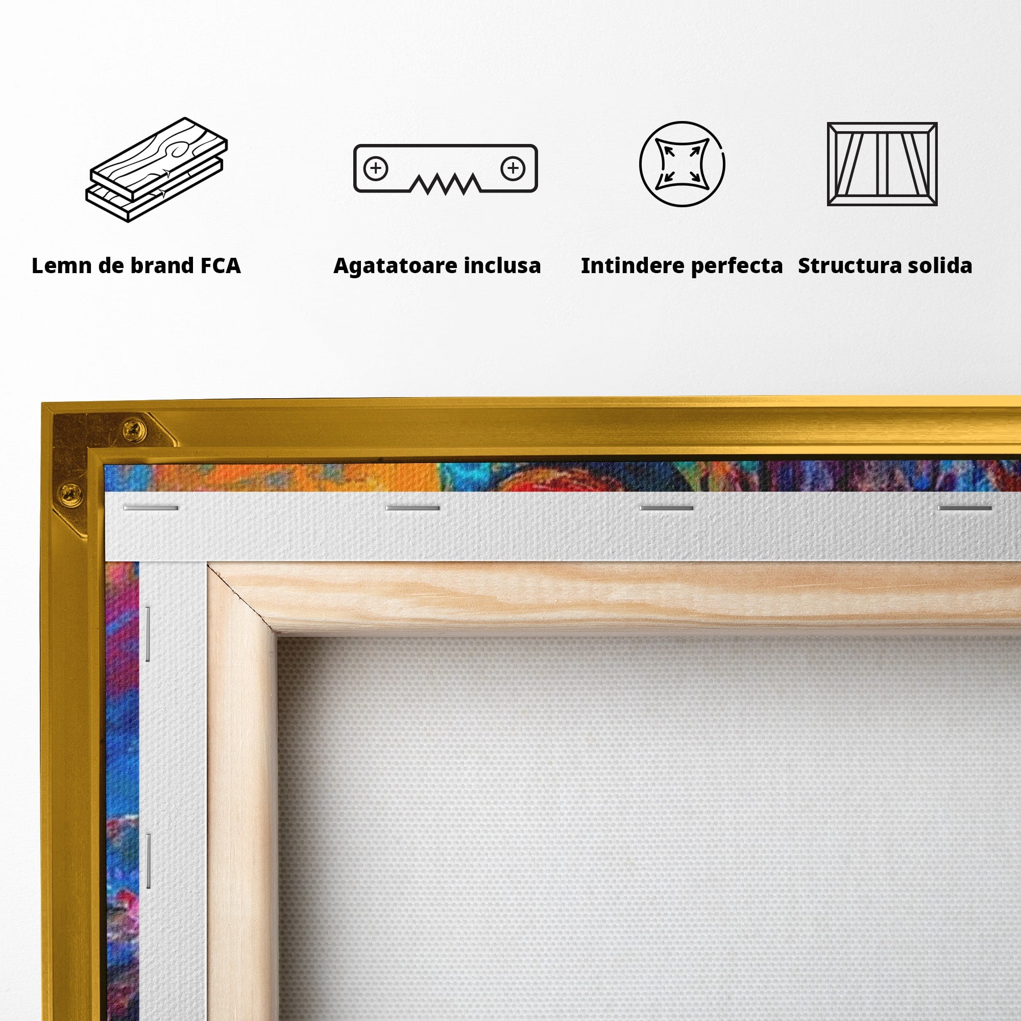 Tablou Canvas Premium LuxCanva® PI1011, Dansatoare Indiana, Dans, Cultura, Exotic, Living, Arta, Culori Vibrante