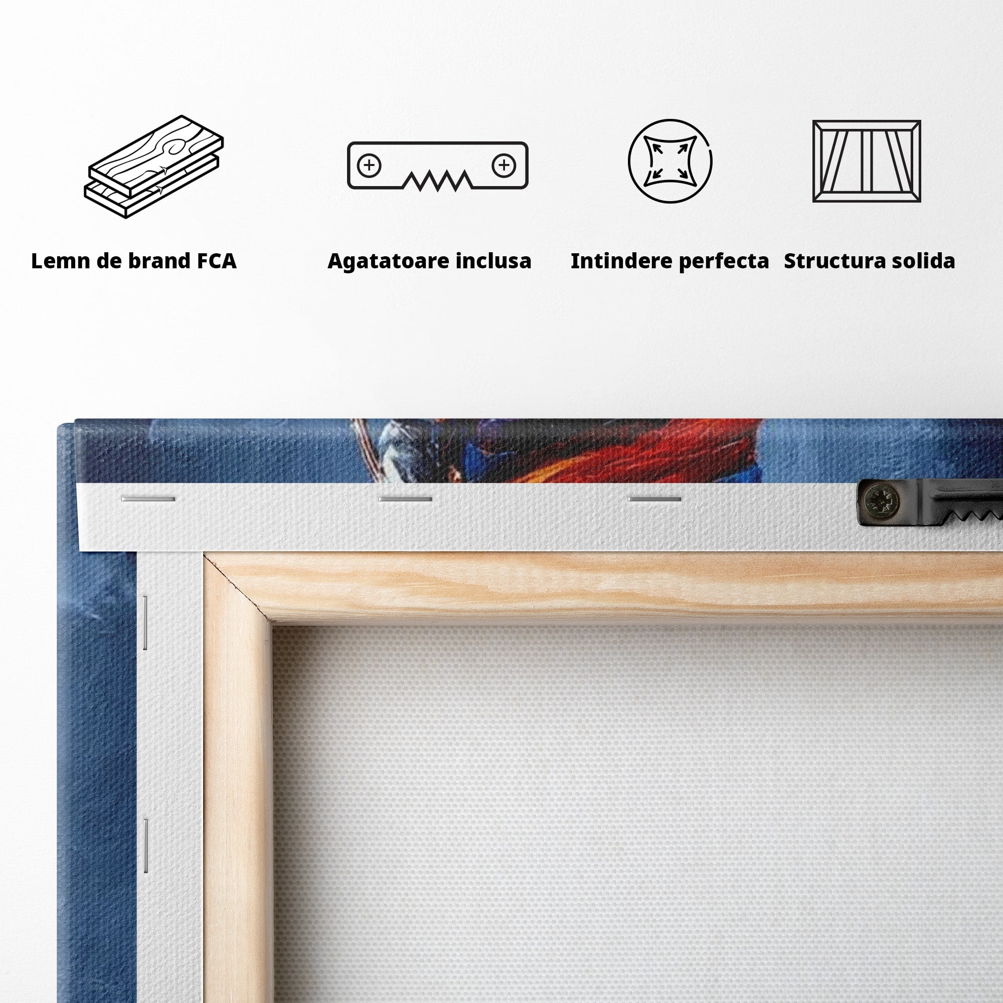 Tablou Canvas Premium LuxCanva® PI1012, Femeie In Rochie Colorata, Plimbare, Rochie, Cos, Arta, Portret, Living, Culori Vibrante