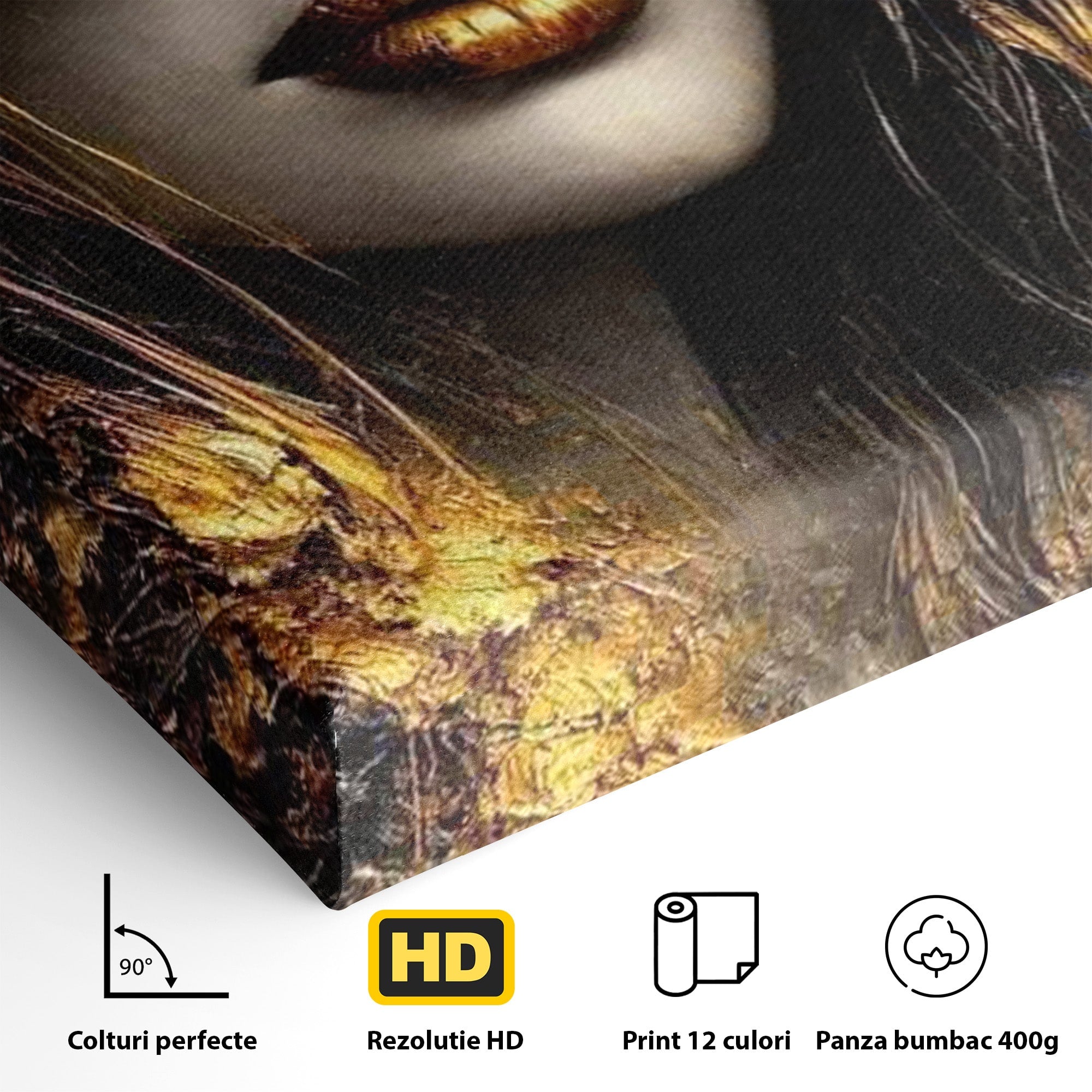 Tablou Canvas Premium LuxCanva® PI1015, Misterul Aurului, Mister, Femeie, Portret, Eleganta, Dormitor, Culori Vibrante