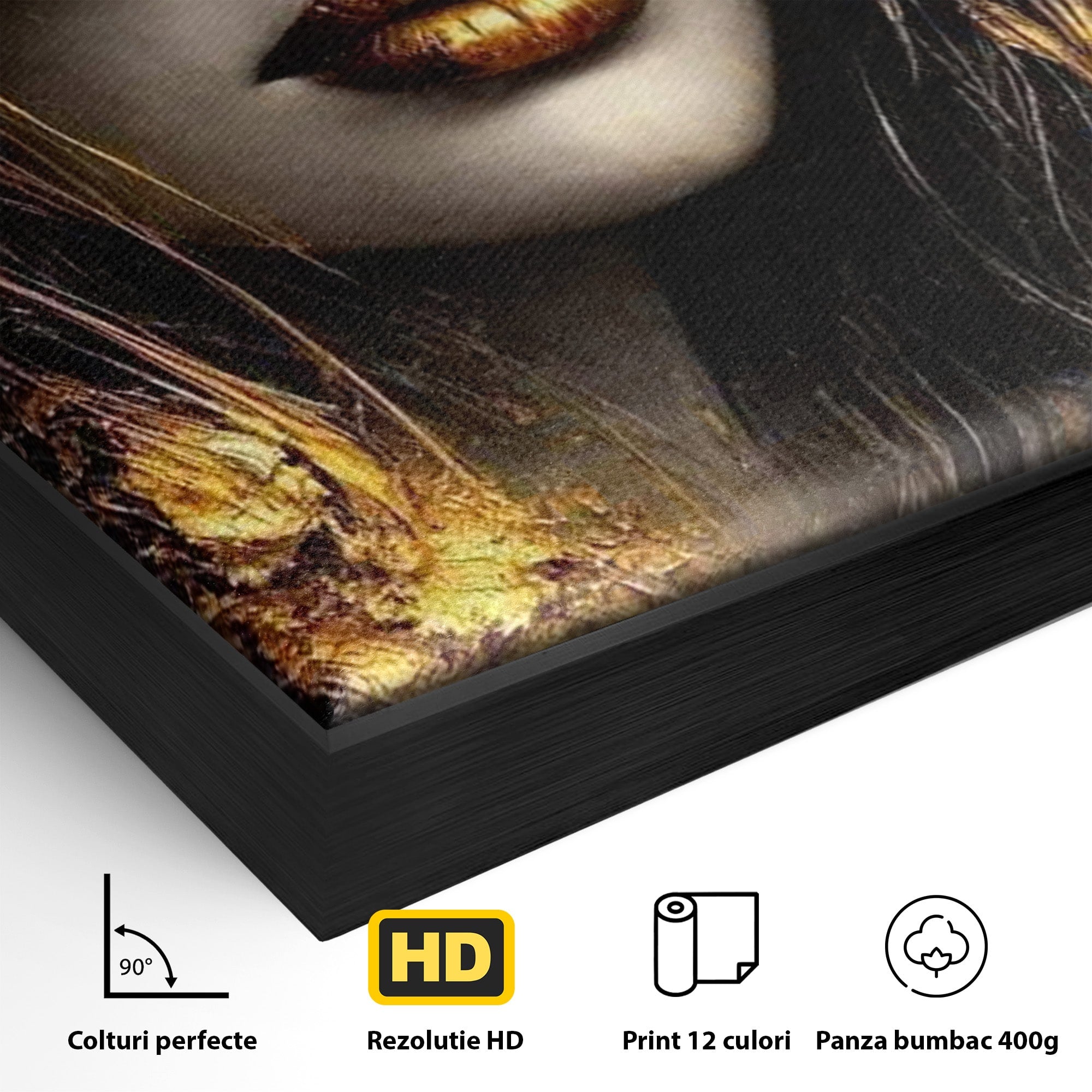 Tablou Canvas Premium LuxCanva® PI1015, Misterul Aurului, Mister, Femeie, Portret, Eleganta, Dormitor, Culori Vibrante
