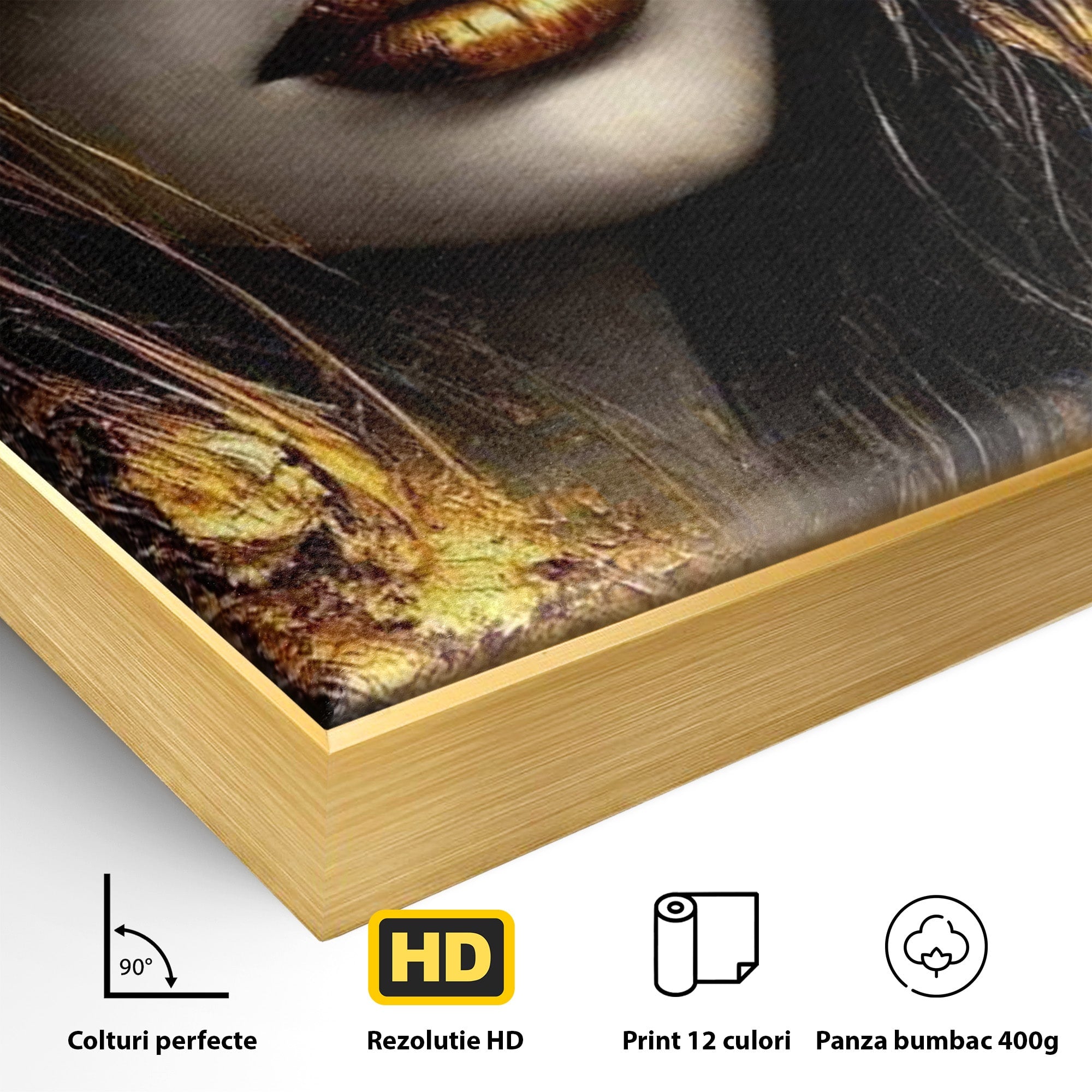 Tablou Canvas Premium LuxCanva® PI1015, Misterul Aurului, Mister, Femeie, Portret, Eleganta, Dormitor, Culori Vibrante