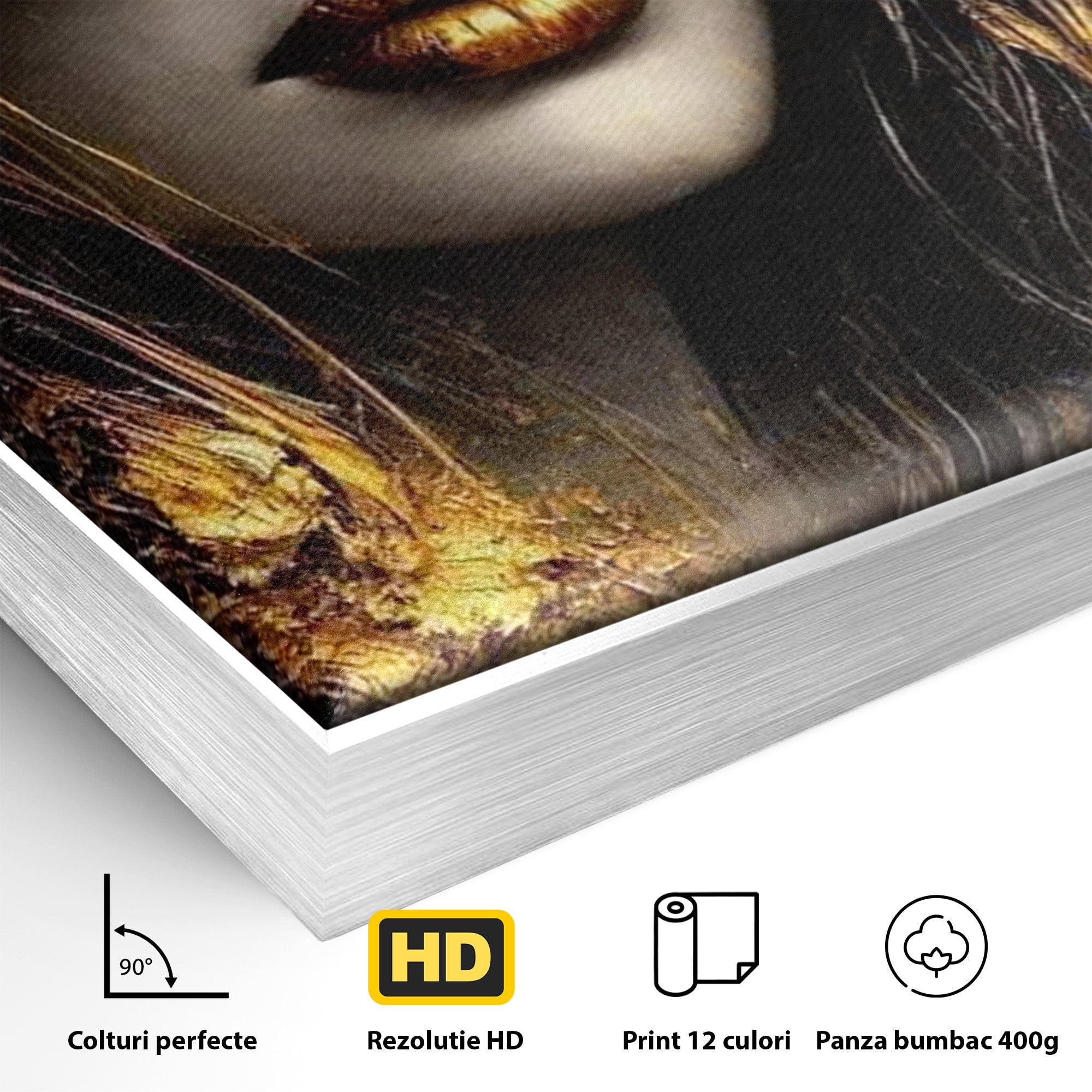 Tablou Canvas Premium LuxCanva® PI1015, Misterul Aurului, Mister, Femeie, Portret, Eleganta, Dormitor, Culori Vibrante