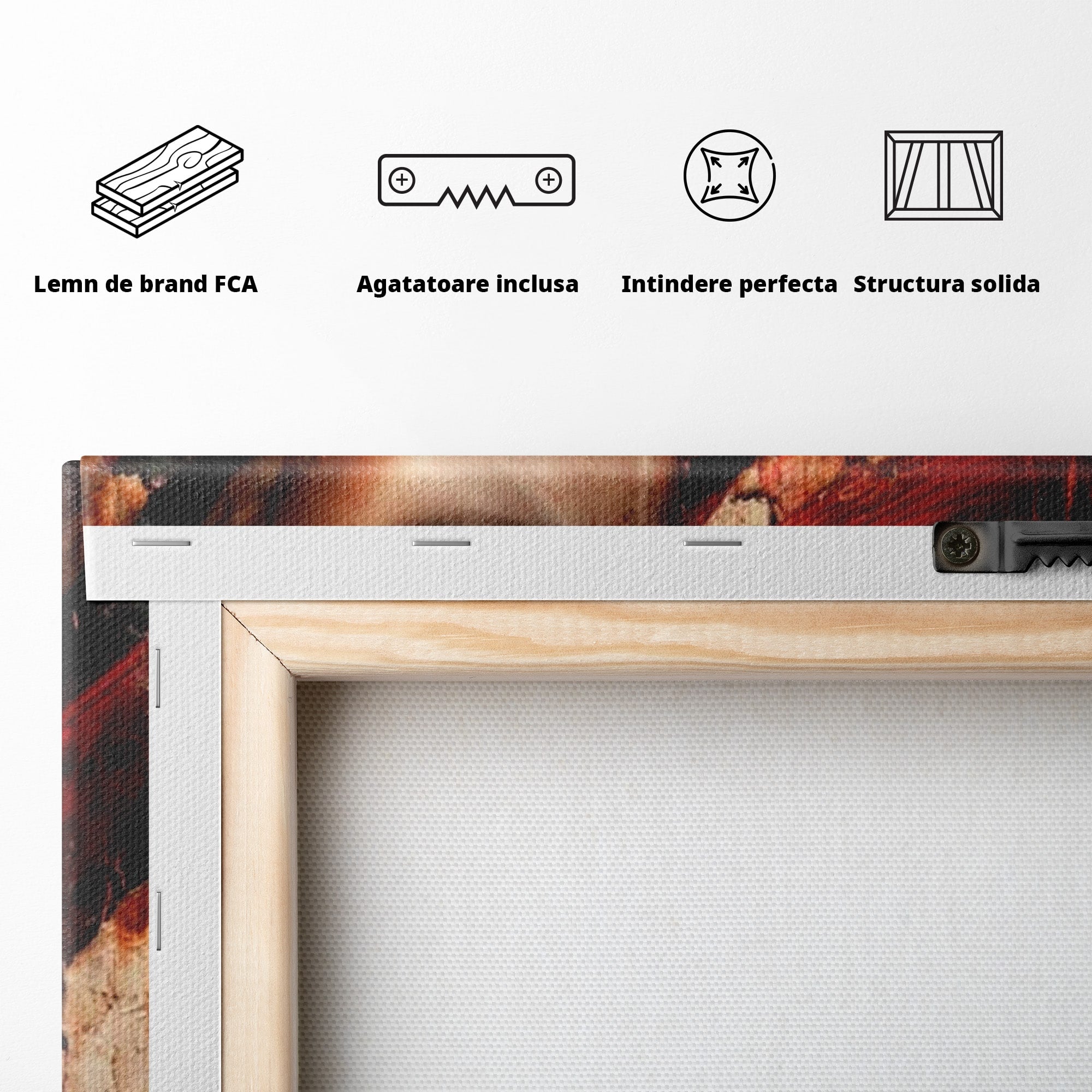 Tablou Canvas Premium LuxCanva® PI1018, Femeie Misterioasa, Portret, Rosu, Femeie, Mister, Arta, Living, Dormitor, Culori Vibrante