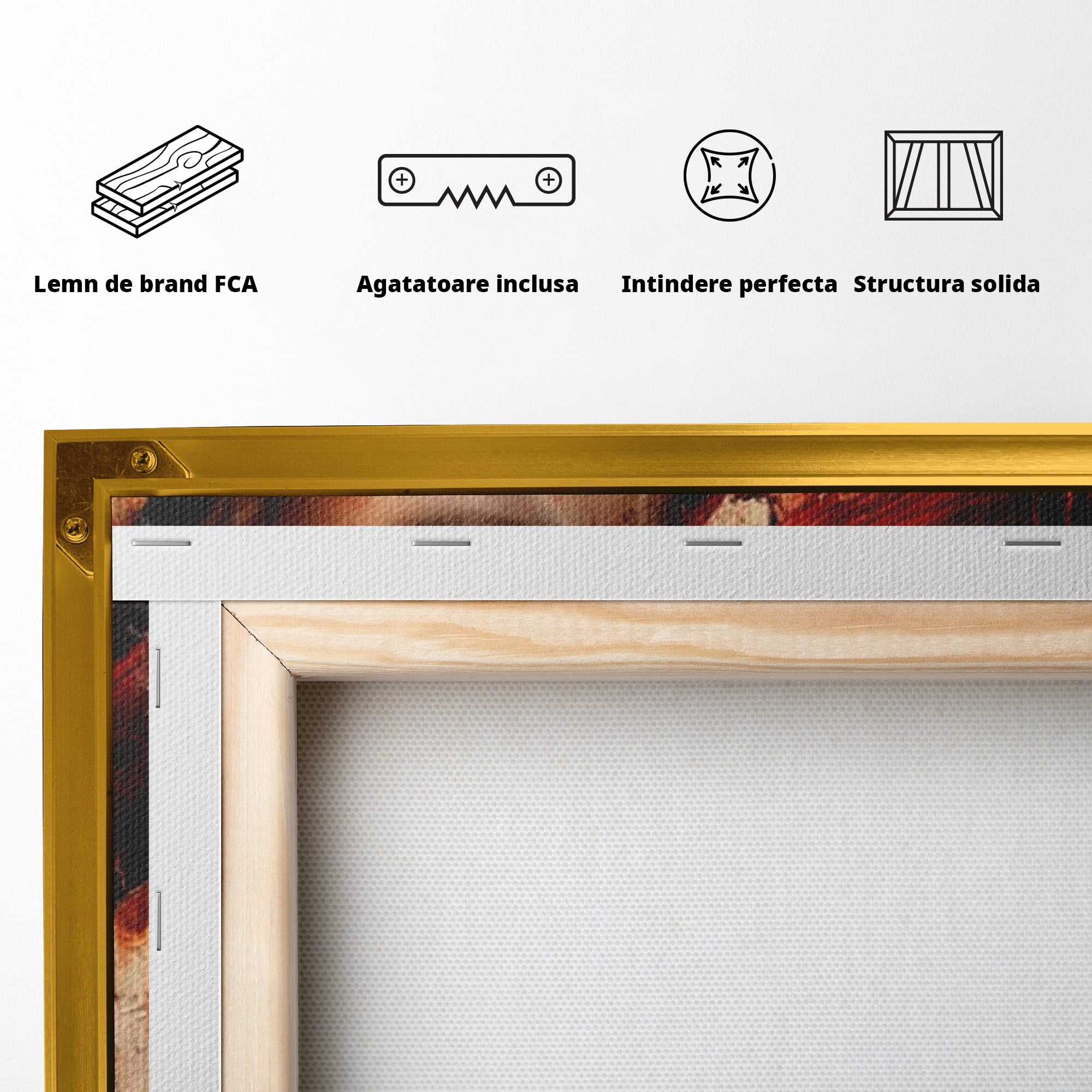 Tablou Canvas Premium LuxCanva® PI1018, Femeie Misterioasa, Portret, Rosu, Femeie, Mister, Arta, Living, Dormitor, Culori Vibrante