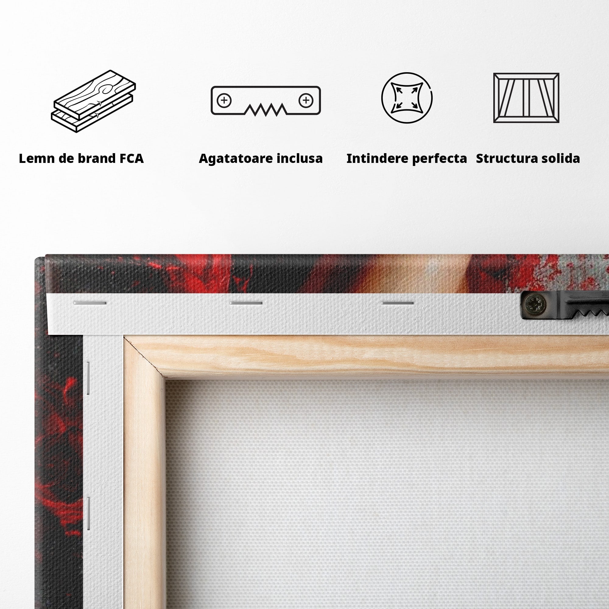 Tablou Canvas Premium LuxCanva® PI1024, Dans Pasional, Dans, Femeie, Arta, Emotie, Living, Culori Vibrante