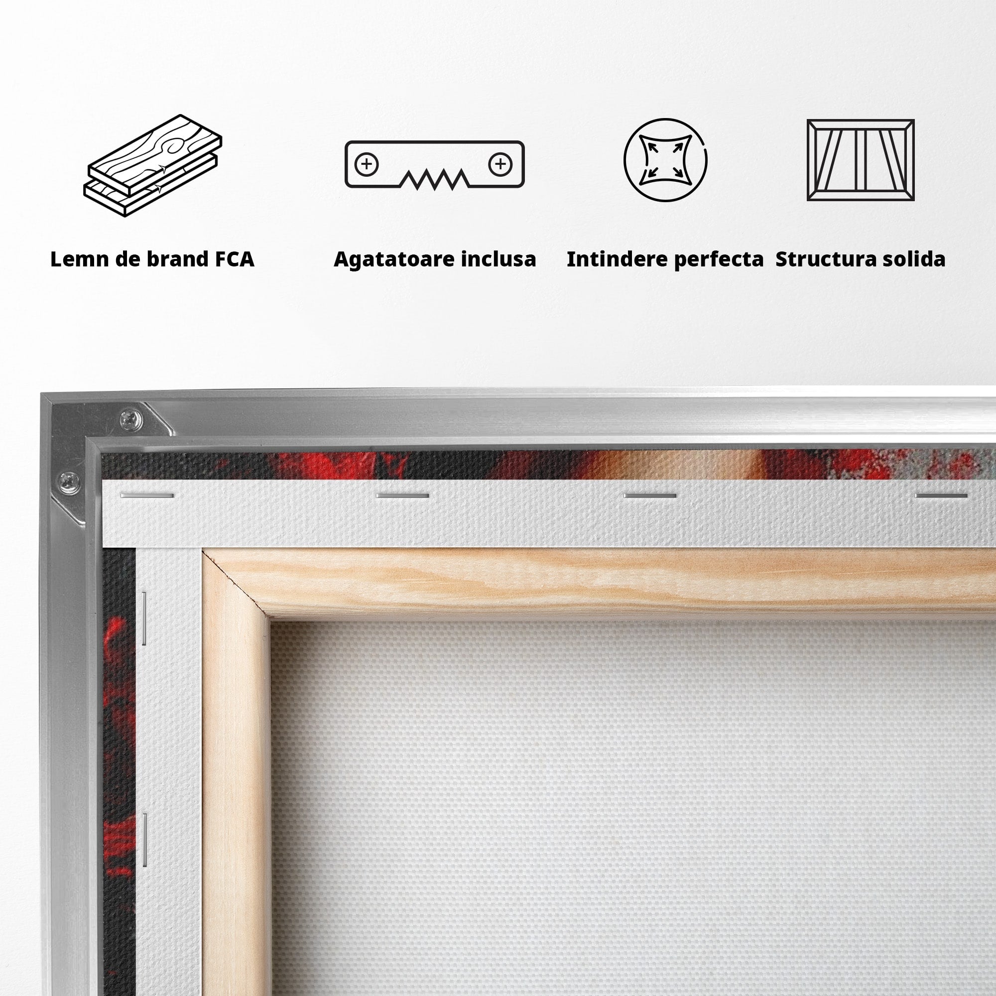 Tablou Canvas Premium LuxCanva® PI1024, Dans Pasional, Dans, Femeie, Arta, Emotie, Living, Culori Vibrante