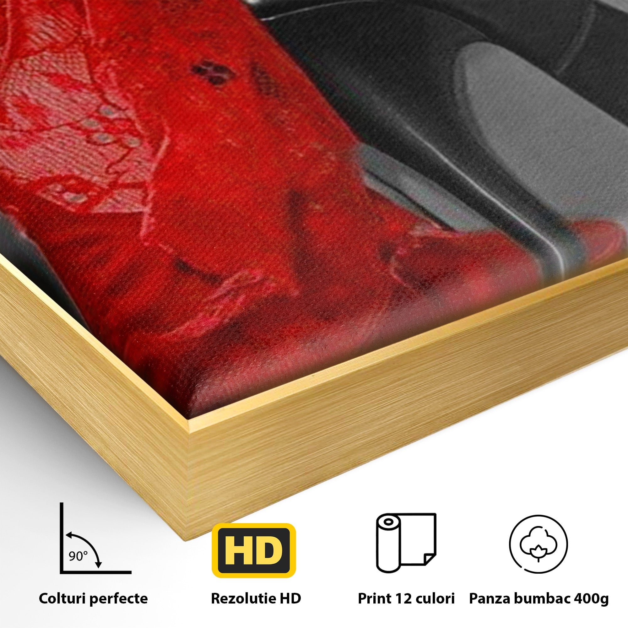 Tablou Canvas Premium LuxCanva® PI1026, Stiletto Rosu, Pantof, Lingerie, Eleganta, Dormitor, Seductie, Culori Vibrante