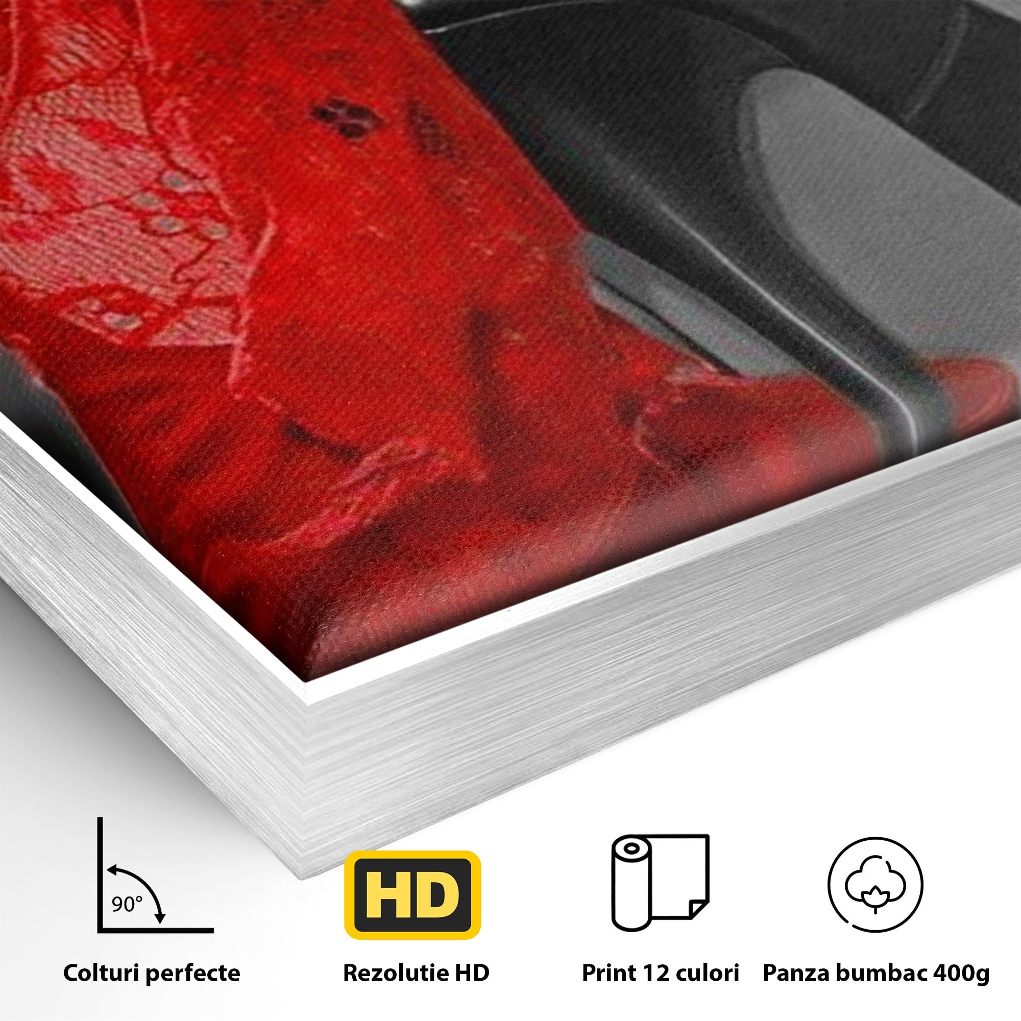 Tablou Canvas Premium LuxCanva® PI1026, Stiletto Rosu, Pantof, Lingerie, Eleganta, Dormitor, Seductie, Culori Vibrante