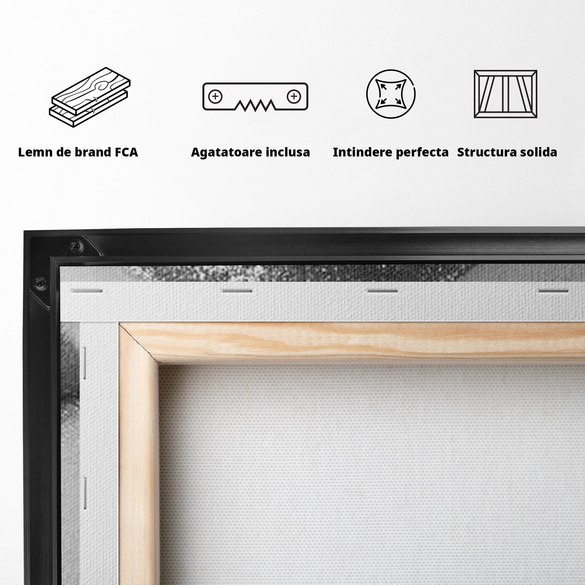 Tablou Canvas Premium LuxCanva® PI1027, Buze Seducatoare, Muscatura, Femeie, Glamour, Dormitor, Living, Culori Vibrante