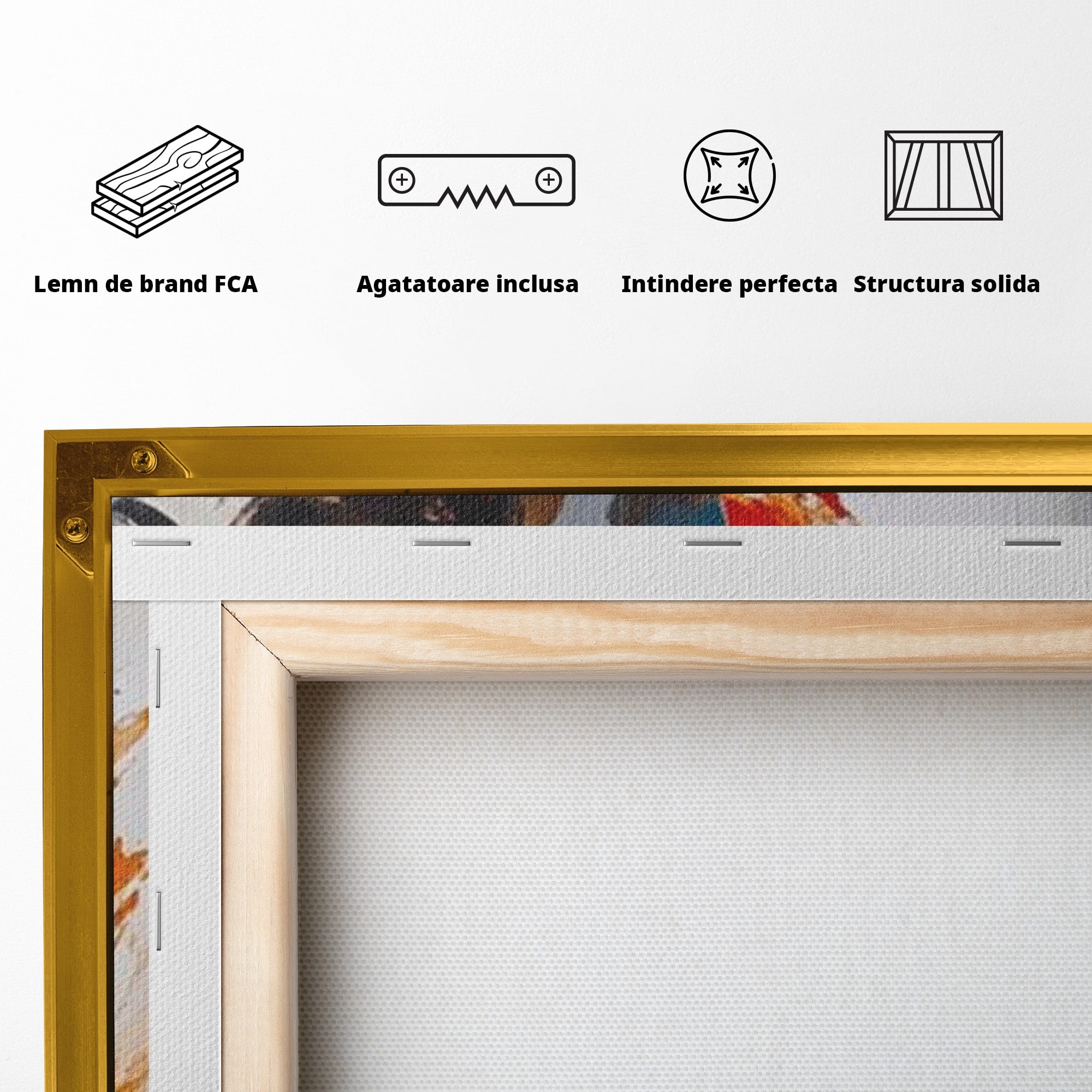 Tablou Canvas Premium LuxCanva® PI1029, Femeie In Flacari, Femeie, Corp, Nuditate, Arta Abstracta, Emotie, Living, Culori Vibrante