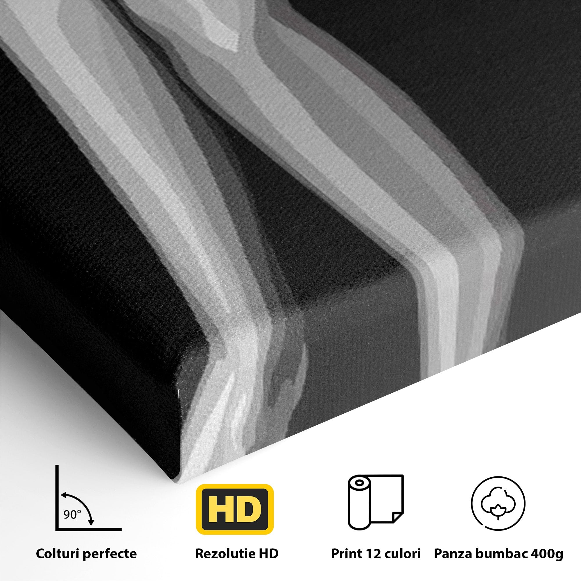 Tablou Canvas Premium LuxCanva® PI1031, Eleganta In Alb Si Negru, Femeie, Stil, Eleganta, Living, Birou, Culori Vibrante