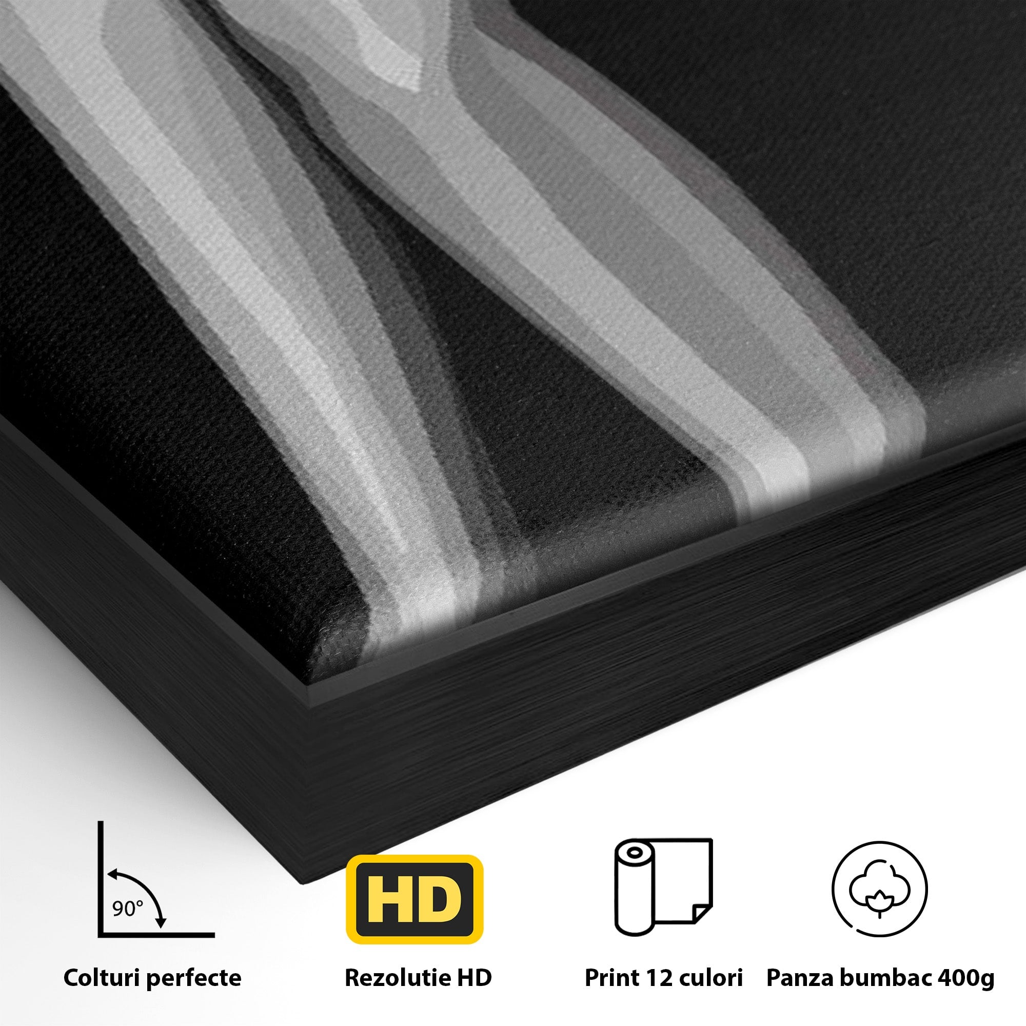 Tablou Canvas Premium LuxCanva® PI1031, Eleganta In Alb Si Negru, Femeie, Stil, Eleganta, Living, Birou, Culori Vibrante