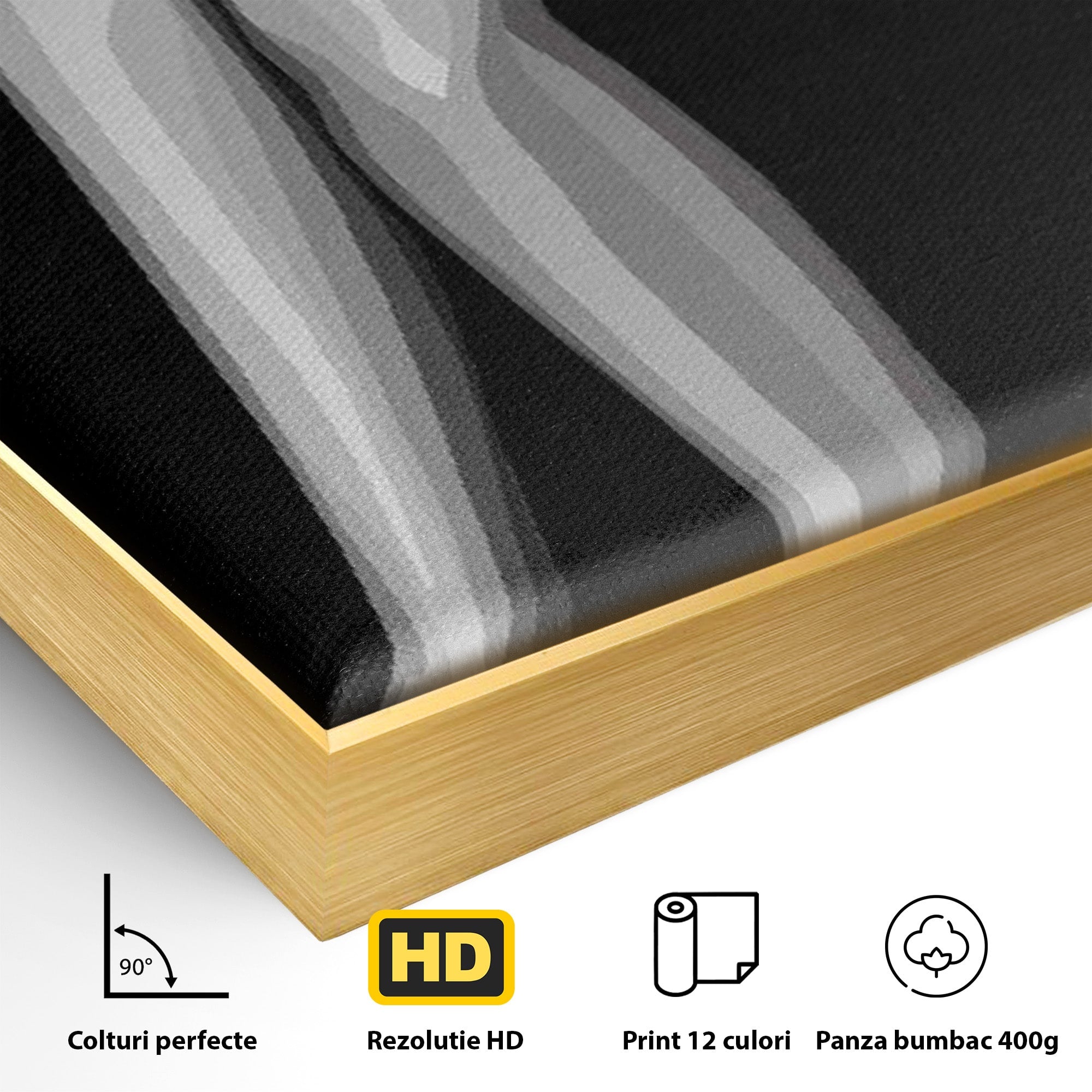 Tablou Canvas Premium LuxCanva® PI1031, Eleganta In Alb Si Negru, Femeie, Stil, Eleganta, Living, Birou, Culori Vibrante
