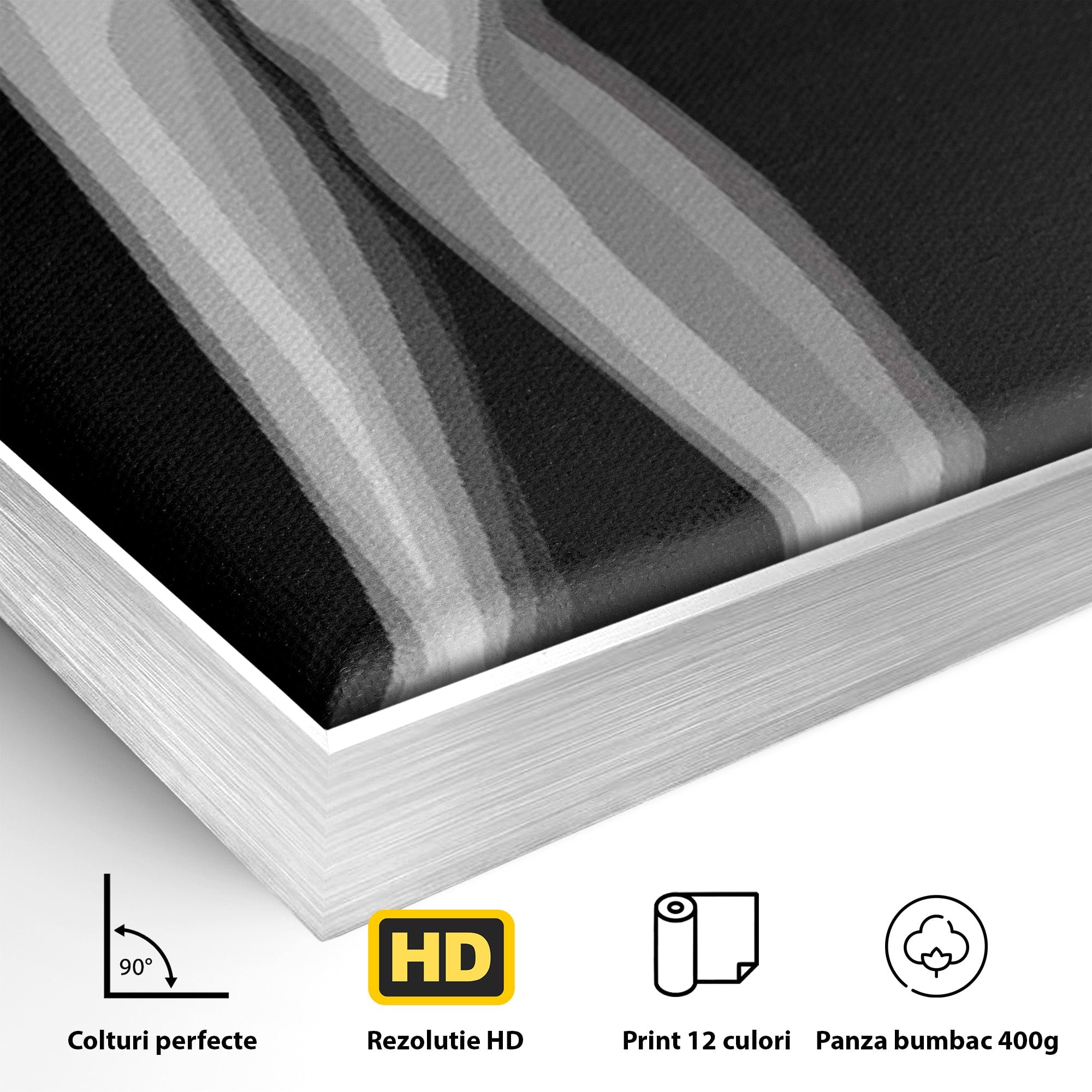 Tablou Canvas Premium LuxCanva® PI1031, Eleganta In Alb Si Negru, Femeie, Stil, Eleganta, Living, Birou, Culori Vibrante