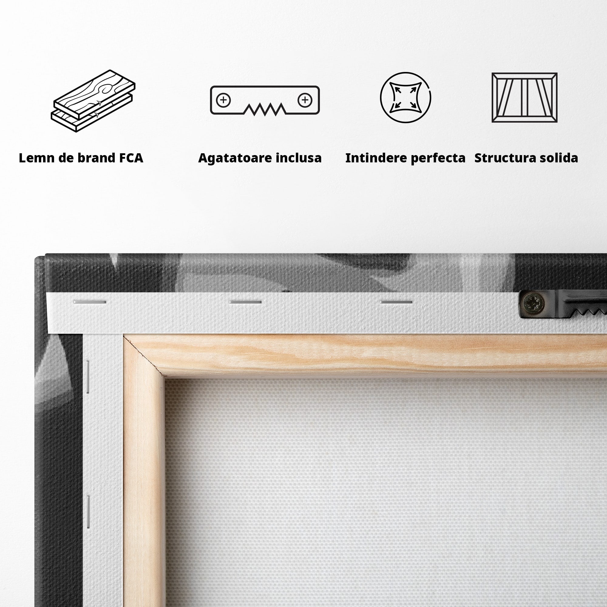Tablou Canvas Premium LuxCanva® PI1031, Eleganta In Alb Si Negru, Femeie, Stil, Eleganta, Living, Birou, Culori Vibrante