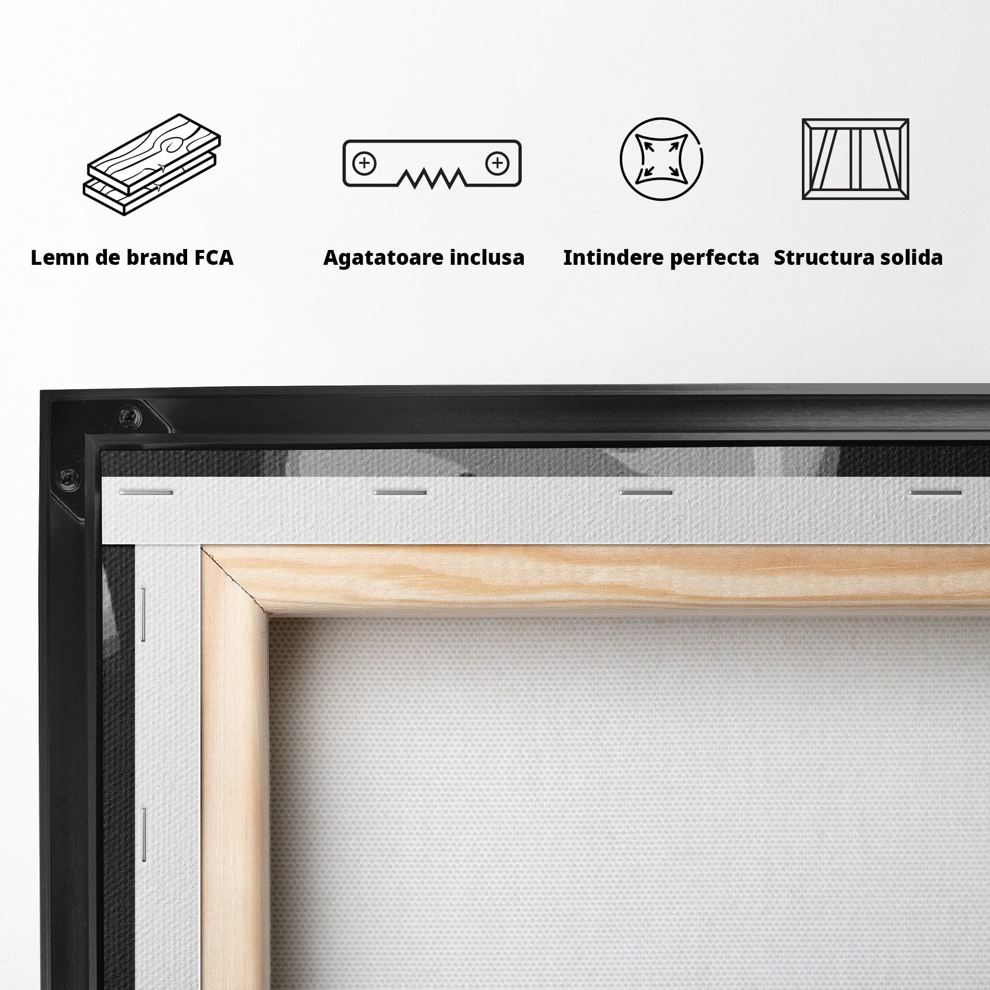 Tablou Canvas Premium LuxCanva® PI1031, Eleganta In Alb Si Negru, Femeie, Stil, Eleganta, Living, Birou, Culori Vibrante