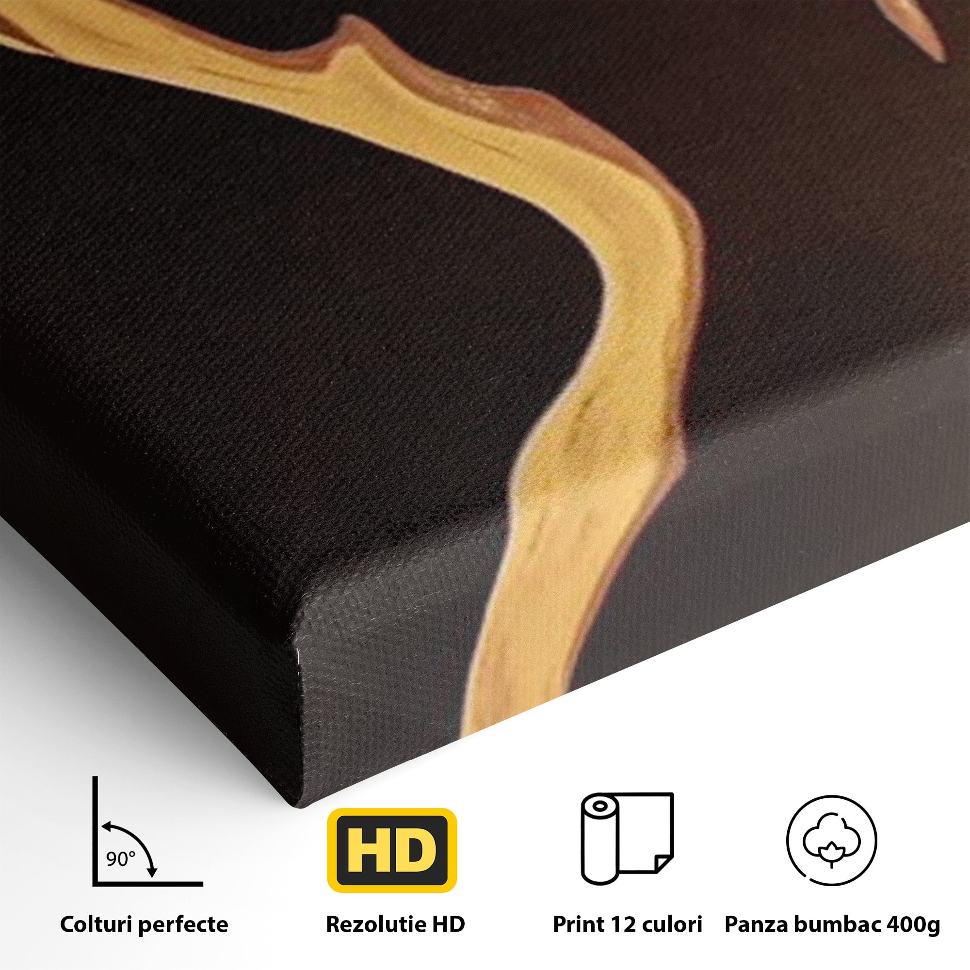 Tablou Canvas Premium LuxCanva® PI1032, Silueta Abstracta, Nuditate, Abstract, Arta, Modern, Dormitor, Culori Vibrante