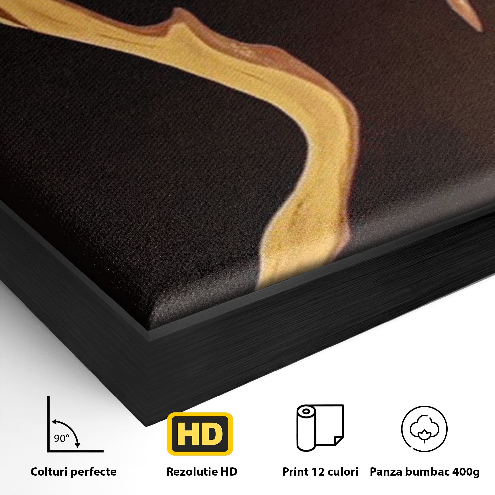 Tablou Canvas Premium LuxCanva® PI1032, Silueta Abstracta, Nuditate, Abstract, Arta, Modern, Dormitor, Culori Vibrante