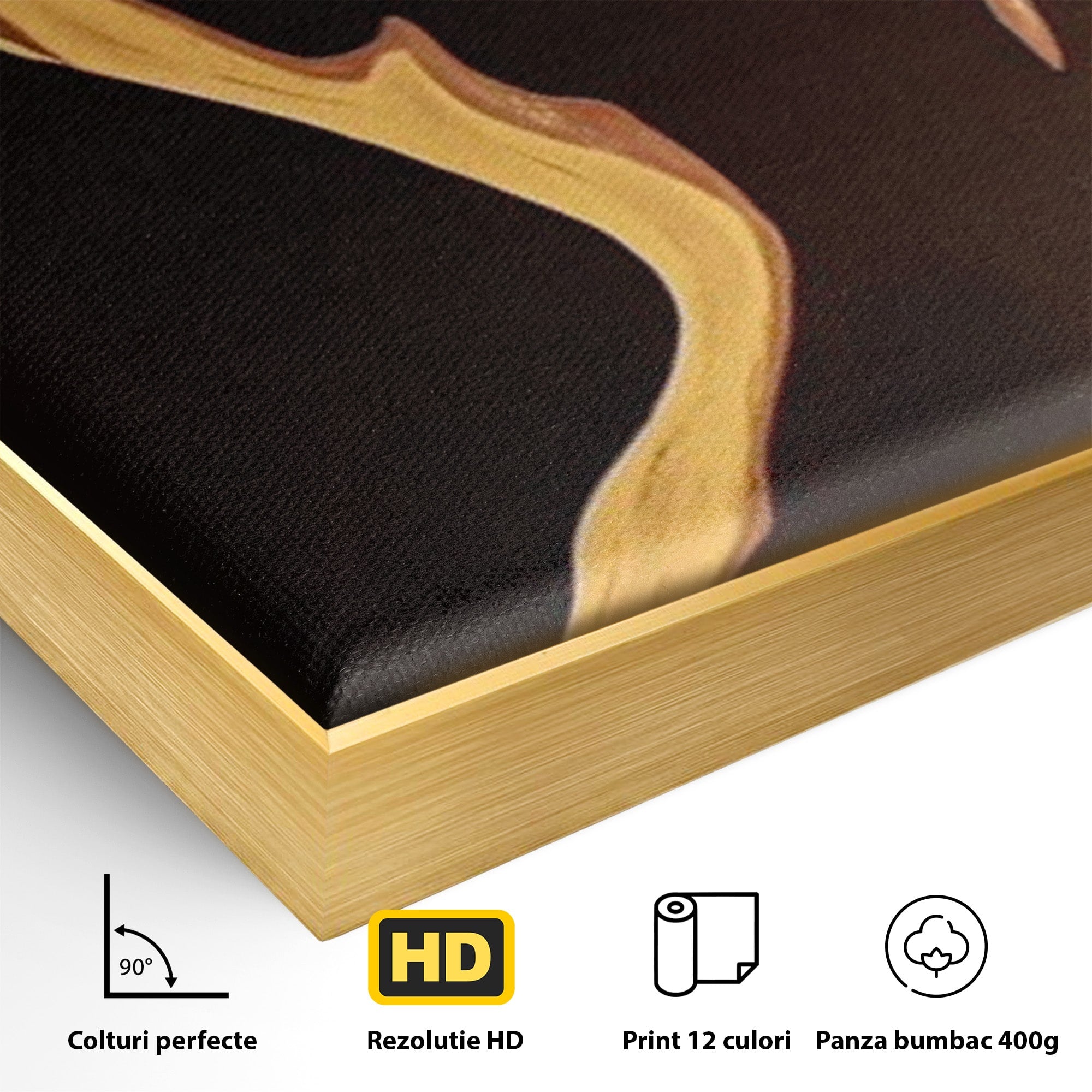 Tablou Canvas Premium LuxCanva® PI1032, Silueta Abstracta, Nuditate, Abstract, Arta, Modern, Dormitor, Culori Vibrante