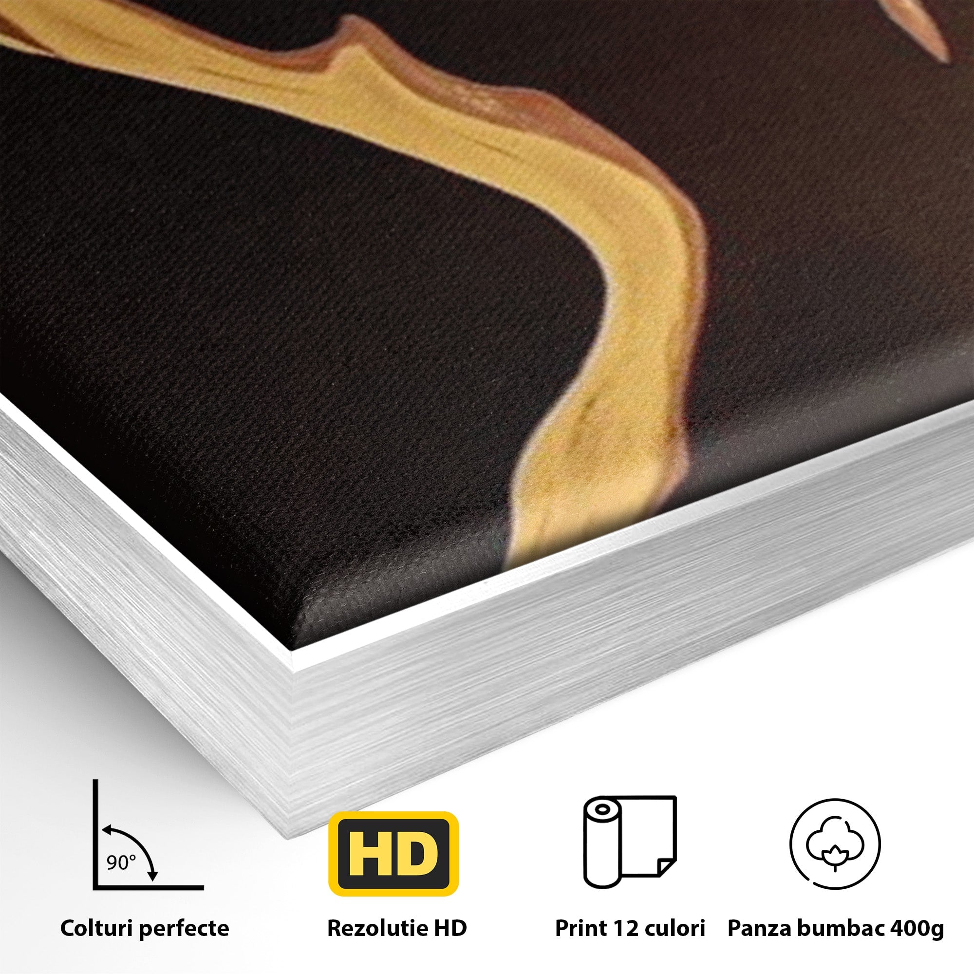 Tablou Canvas Premium LuxCanva® PI1032, Silueta Abstracta, Nuditate, Abstract, Arta, Modern, Dormitor, Culori Vibrante
