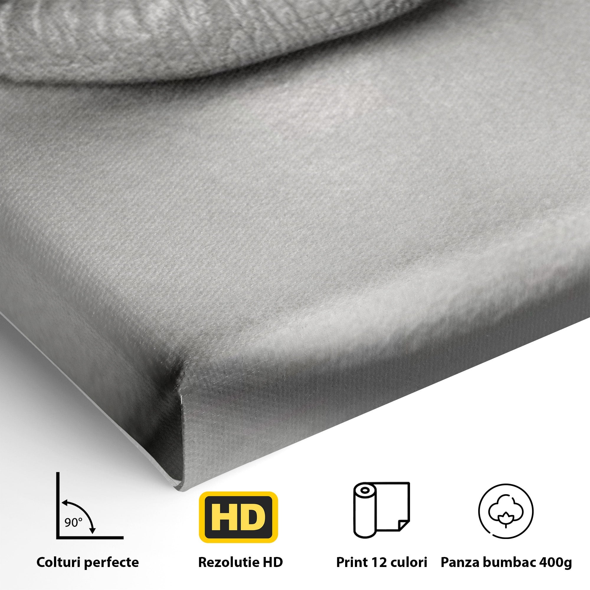 Tablou Canvas Premium LuxCanva® PI1035, Taina Tacuta, Portret, Tacere, Arta Moderna, Dormitor, Birou, Culori Vibrante