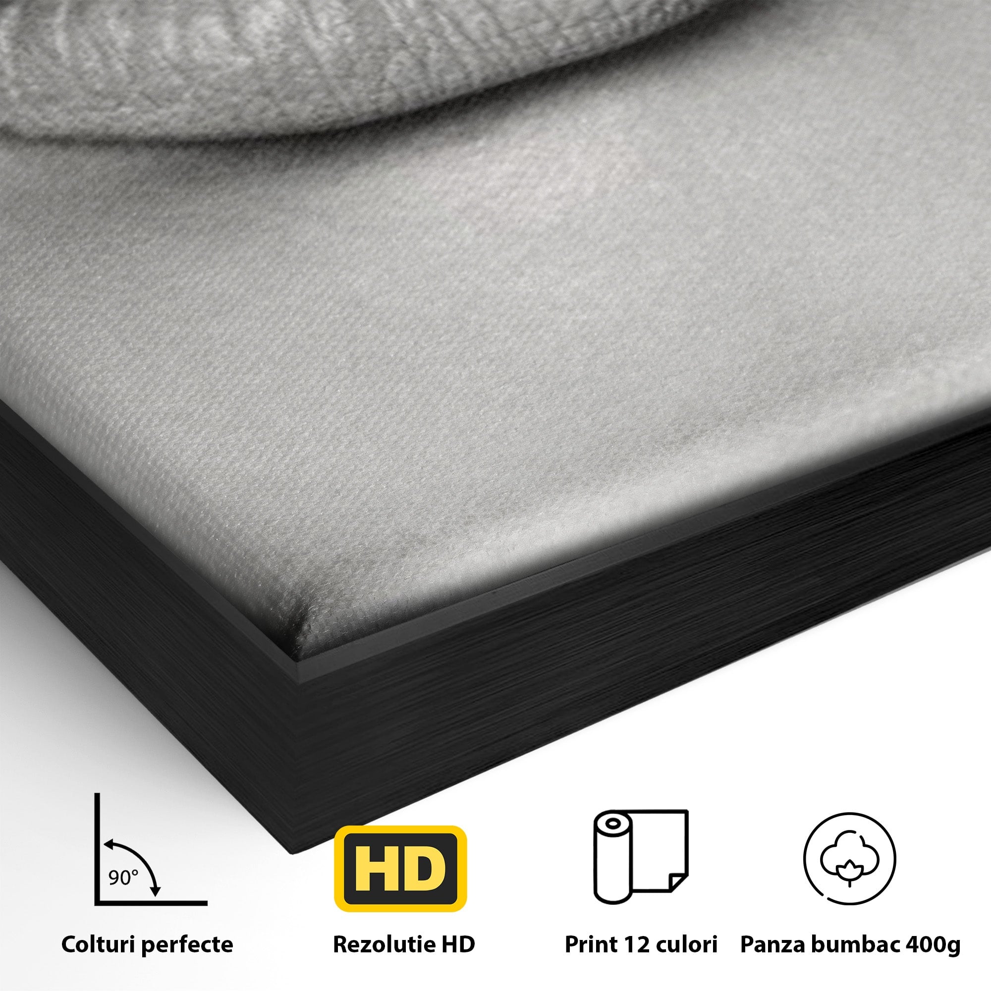 Tablou Canvas Premium LuxCanva® PI1035, Taina Tacuta, Portret, Tacere, Arta Moderna, Dormitor, Birou, Culori Vibrante
