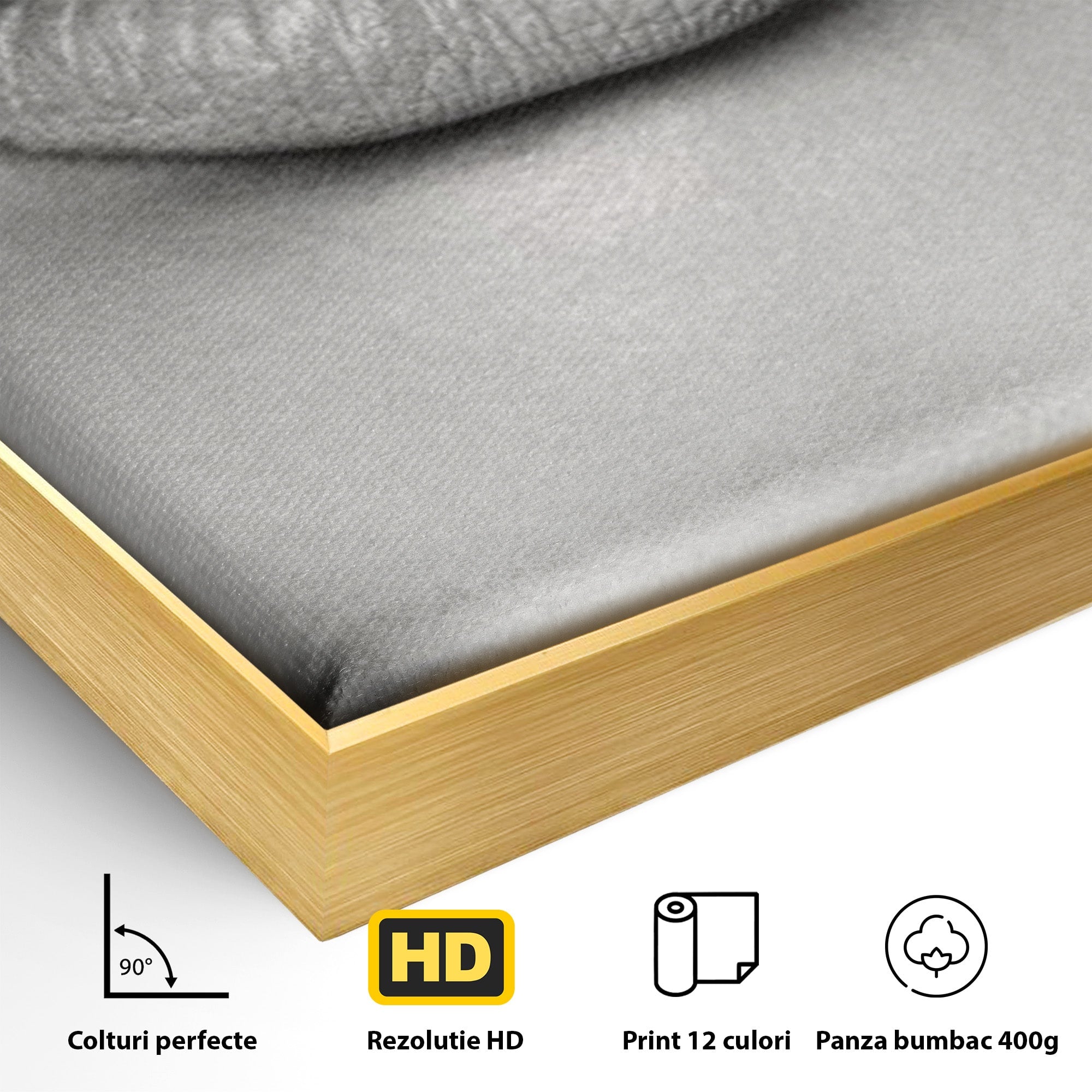 Tablou Canvas Premium LuxCanva® PI1035, Taina Tacuta, Portret, Tacere, Arta Moderna, Dormitor, Birou, Culori Vibrante