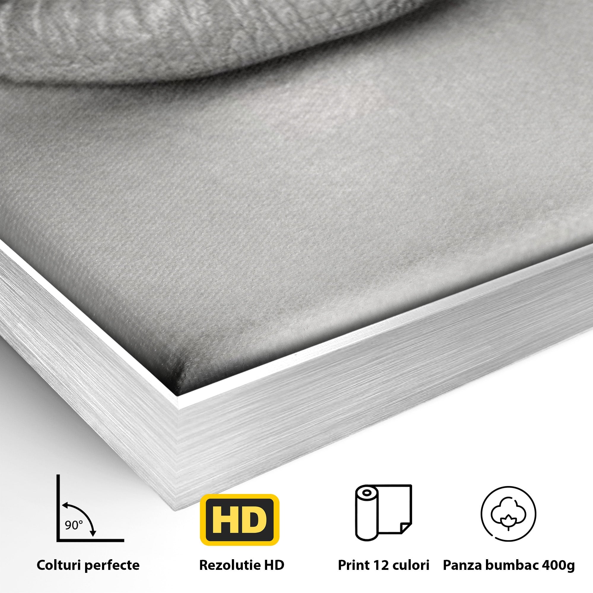 Tablou Canvas Premium LuxCanva® PI1035, Taina Tacuta, Portret, Tacere, Arta Moderna, Dormitor, Birou, Culori Vibrante