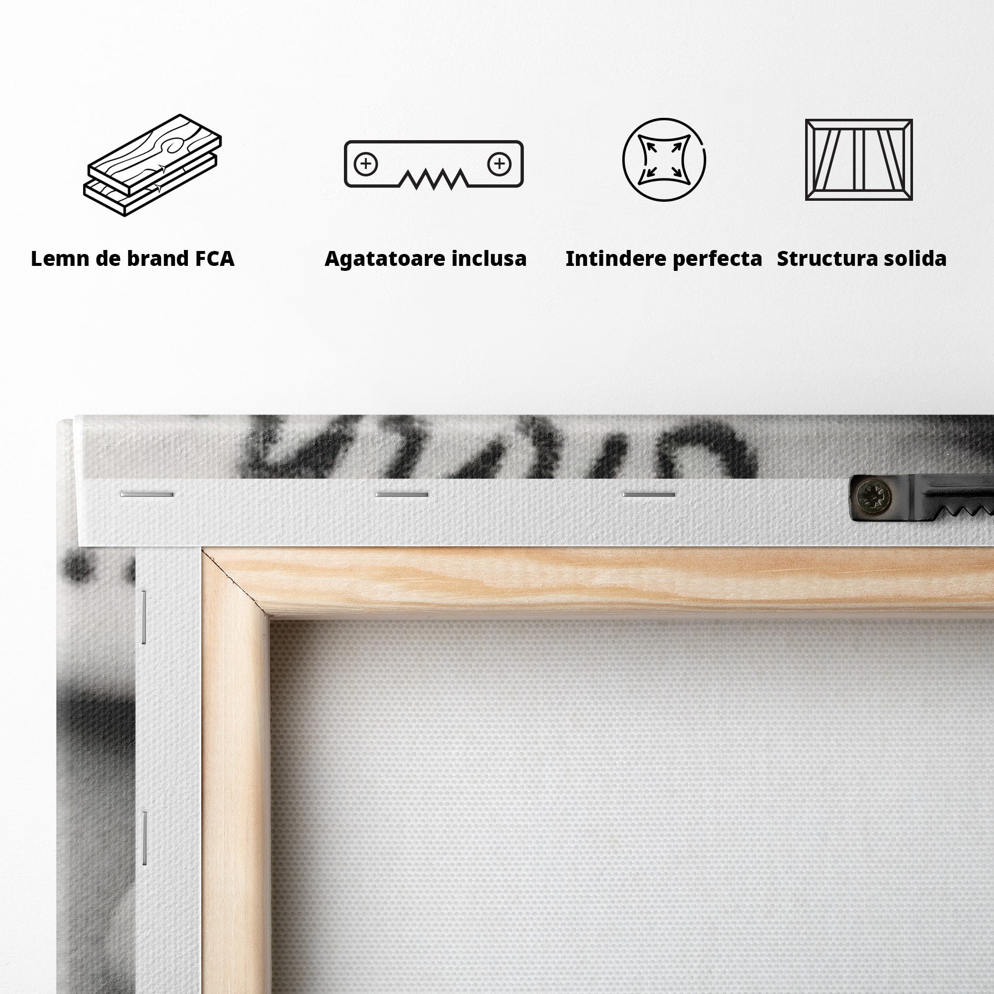 Tablou Canvas Premium LuxCanva® PI1035, Taina Tacuta, Portret, Tacere, Arta Moderna, Dormitor, Birou, Culori Vibrante