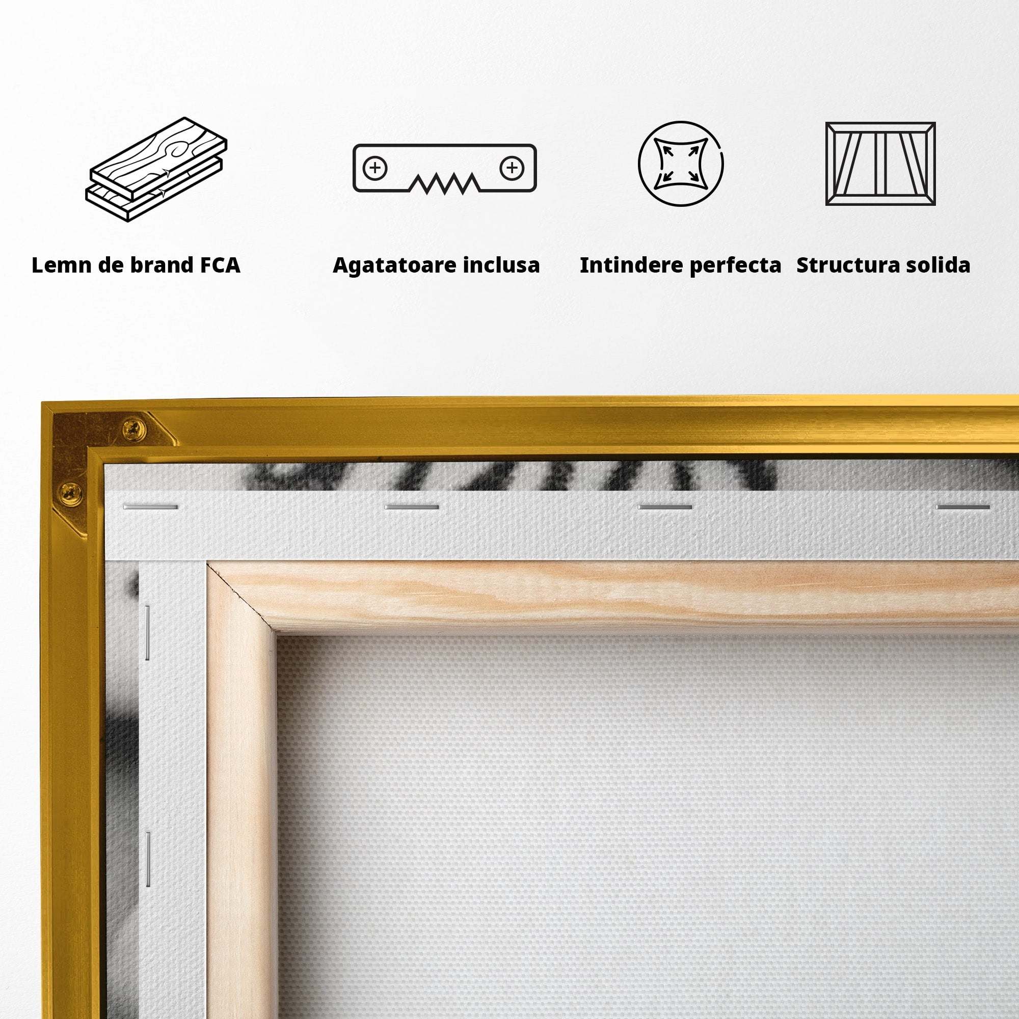 Tablou Canvas Premium LuxCanva® PI1035, Taina Tacuta, Portret, Tacere, Arta Moderna, Dormitor, Birou, Culori Vibrante