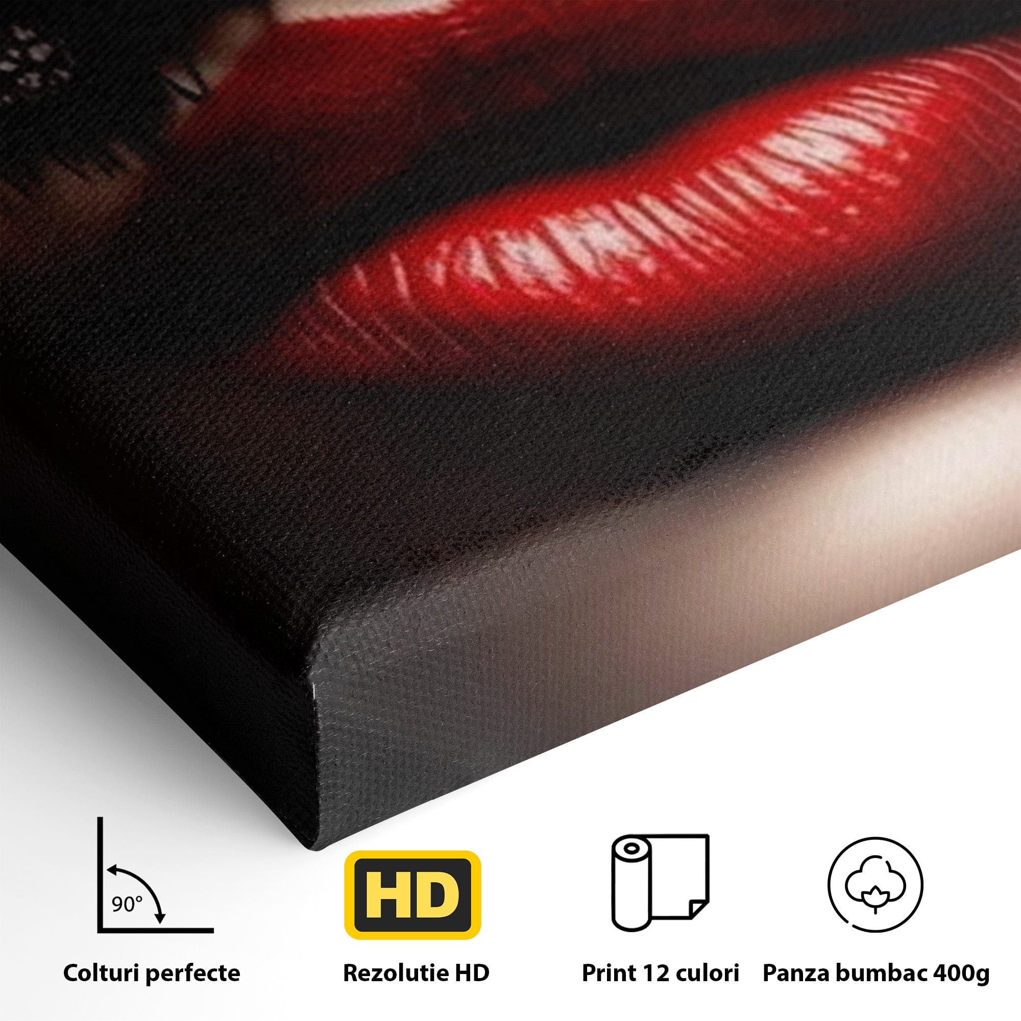 Tablou Canvas Premium LuxCanva® PI1036, Misterul Buzei Rosii, Portret, Mister, Eleganta, Moda, Dormitor, Culori Vibrante