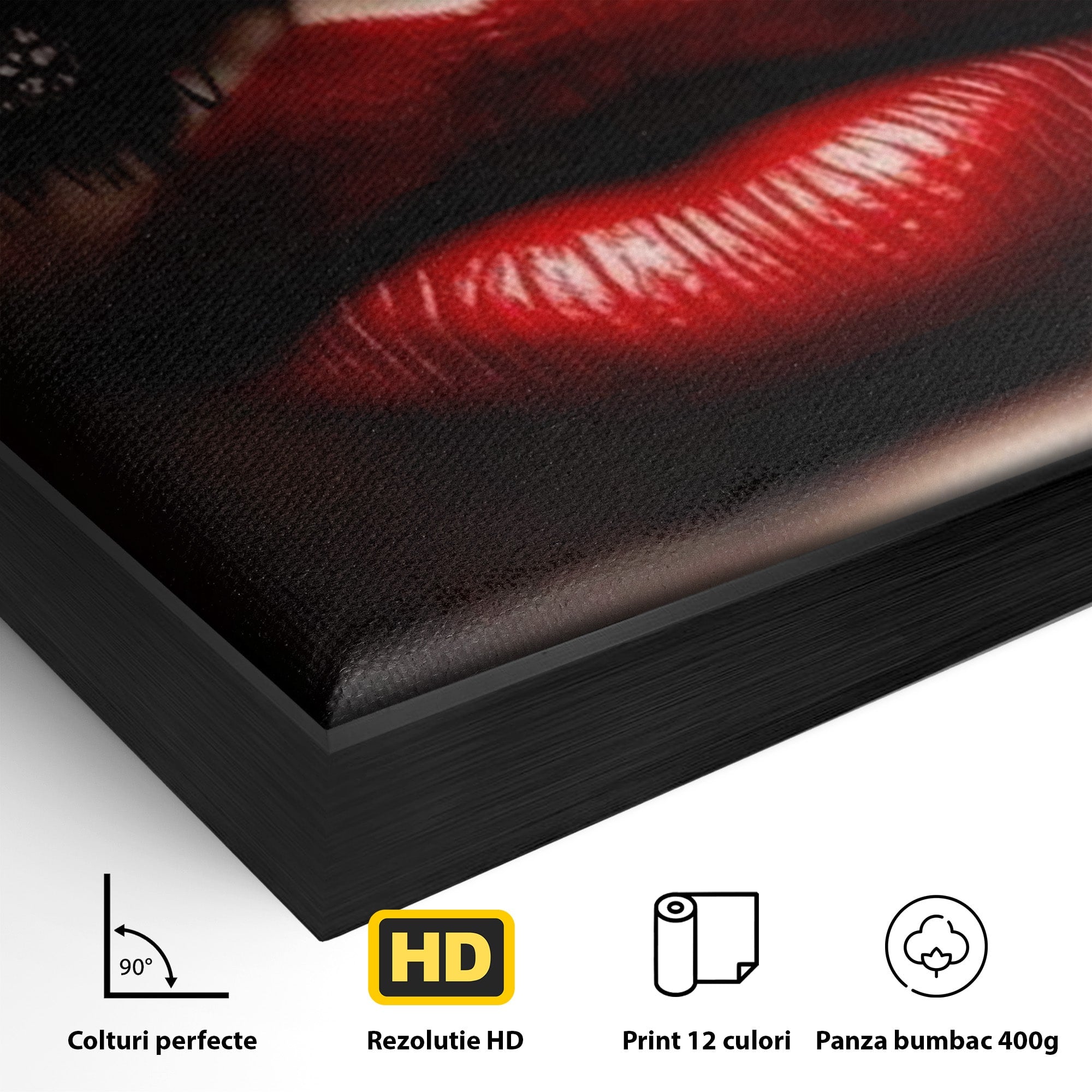 Tablou Canvas Premium LuxCanva® PI1036, Misterul Buzei Rosii, Portret, Mister, Eleganta, Moda, Dormitor, Culori Vibrante