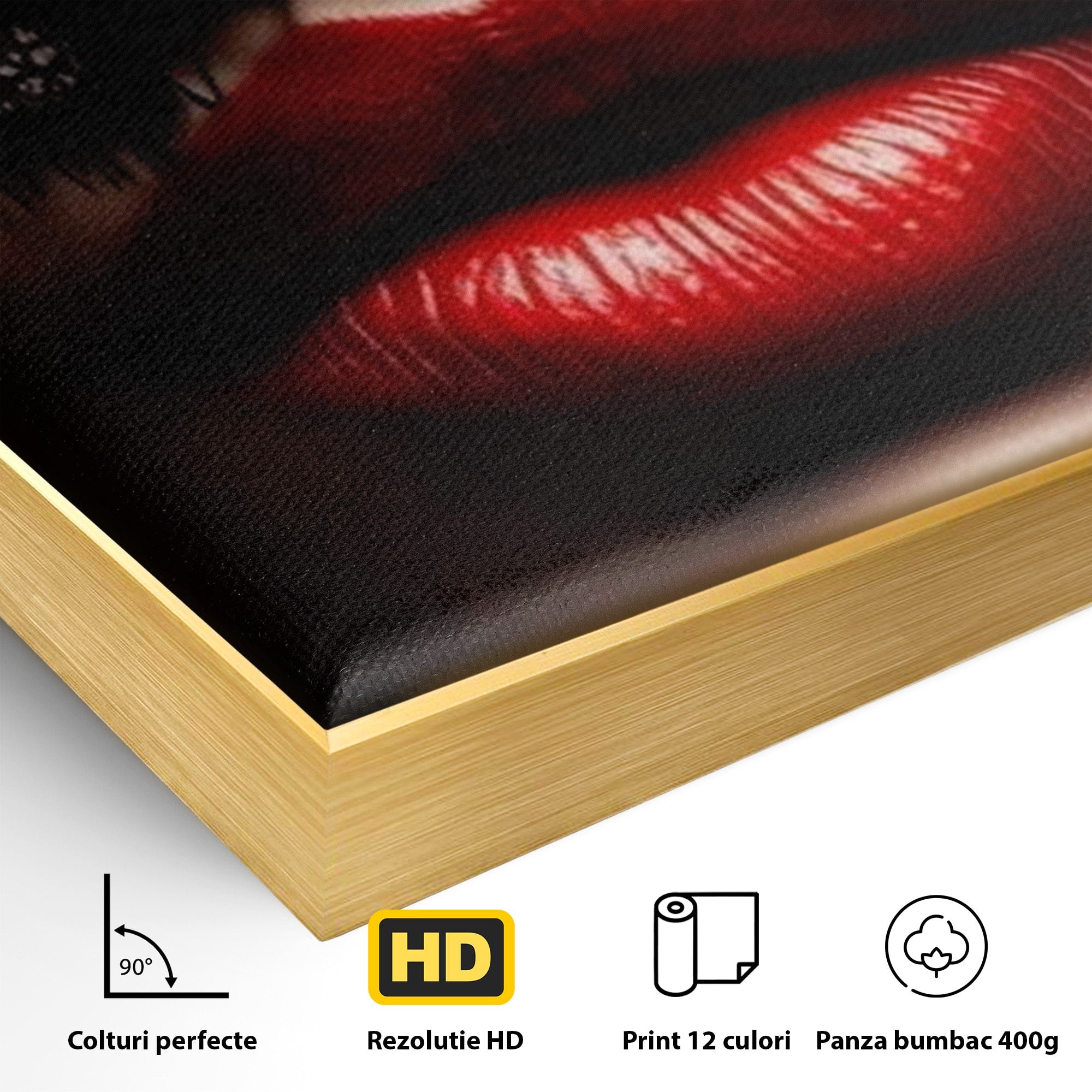 Tablou Canvas Premium LuxCanva® PI1036, Misterul Buzei Rosii, Portret, Mister, Eleganta, Moda, Dormitor, Culori Vibrante