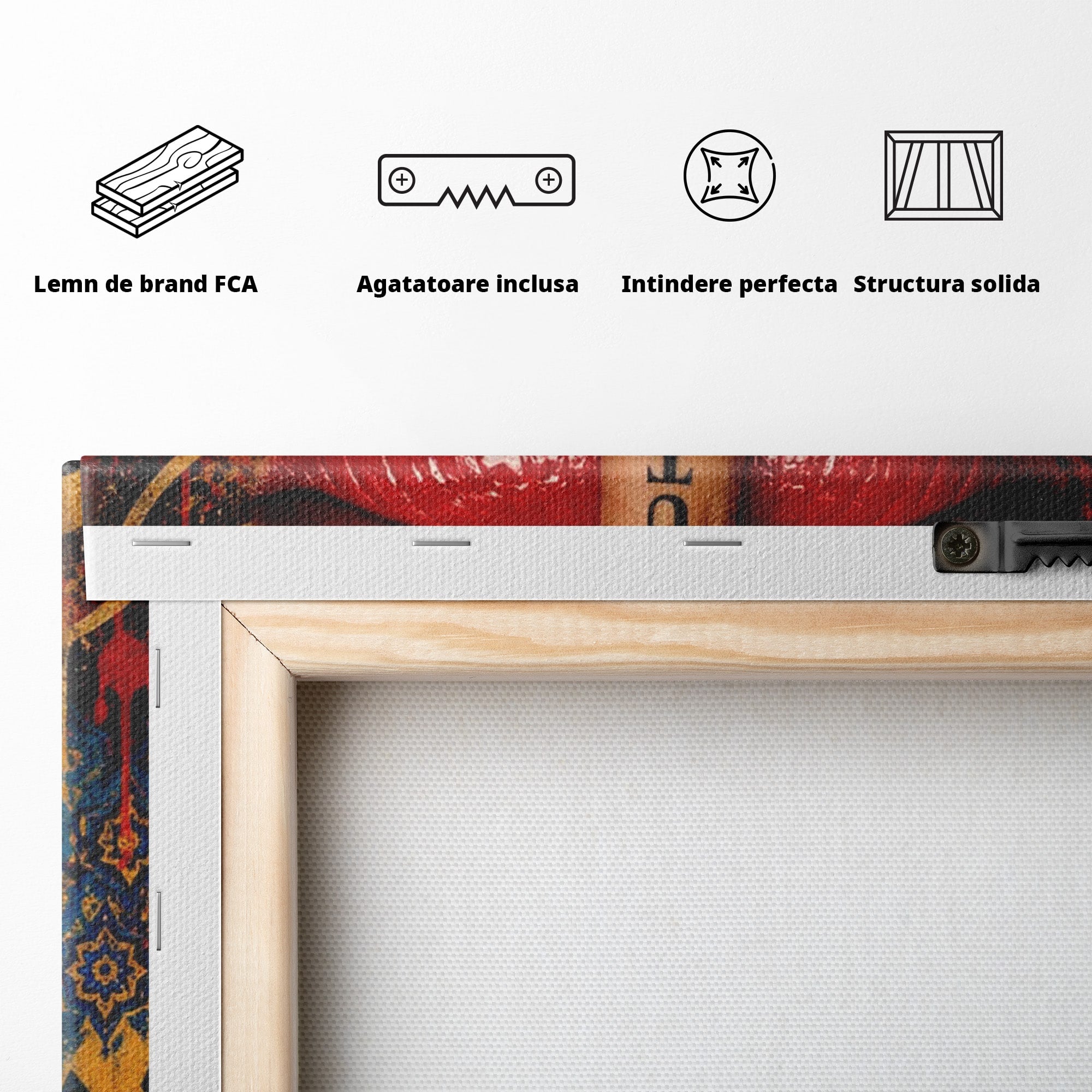 Tablou Canvas Premium LuxCanva® PI1037, Tacerea Rosie, Buze, Maini, Arta Urbana, Mesaj, Dormitor, Culori Vibrante