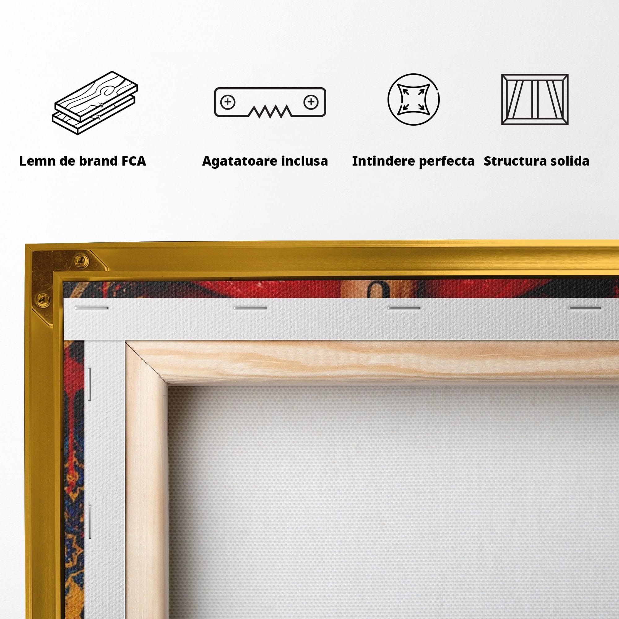 Tablou Canvas Premium LuxCanva® PI1037, Tacerea Rosie, Buze, Maini, Arta Urbana, Mesaj, Dormitor, Culori Vibrante