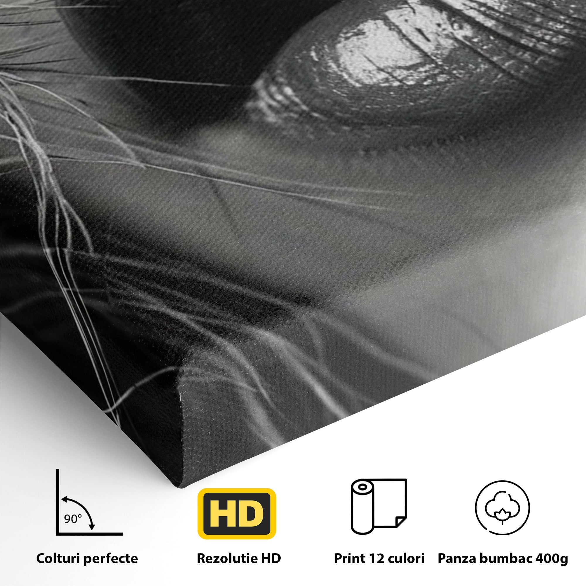 Tablou Canvas Premium LuxCanva® PI1039, Detaliu Buze Seducatoare, Portret, Buze, Detaliu, Arta, Dormitor, Culori Vibrante
