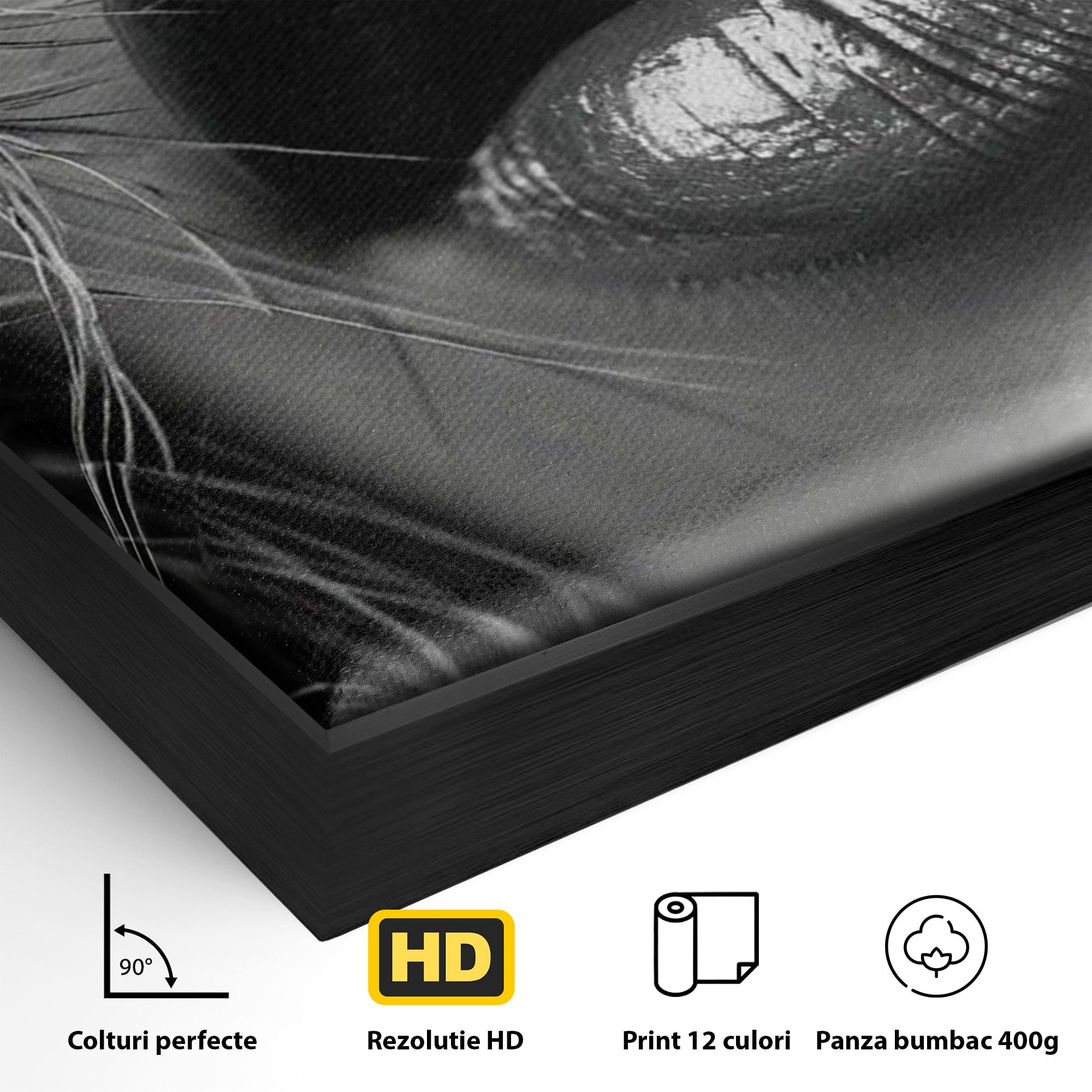 Tablou Canvas Premium LuxCanva® PI1039, Detaliu Buze Seducatoare, Portret, Buze, Detaliu, Arta, Dormitor, Culori Vibrante