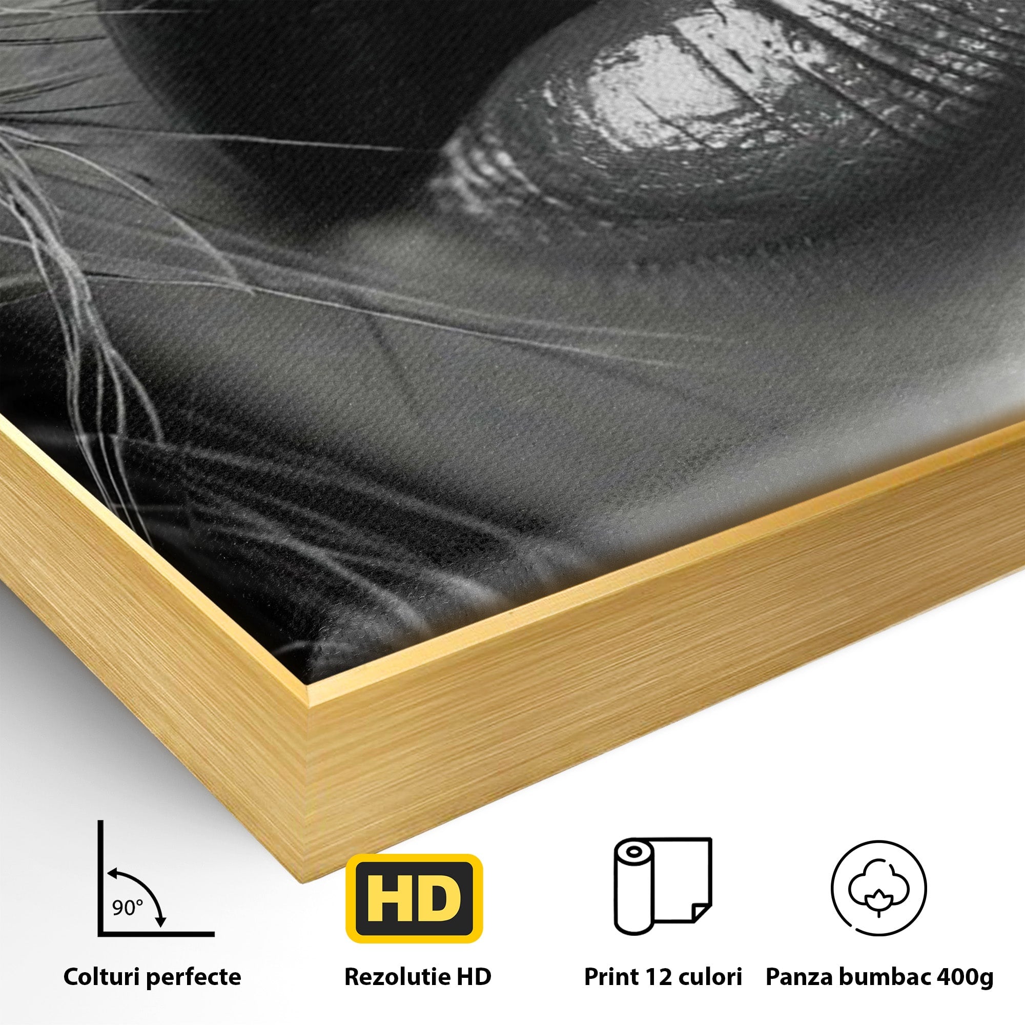 Tablou Canvas Premium LuxCanva® PI1039, Detaliu Buze Seducatoare, Portret, Buze, Detaliu, Arta, Dormitor, Culori Vibrante