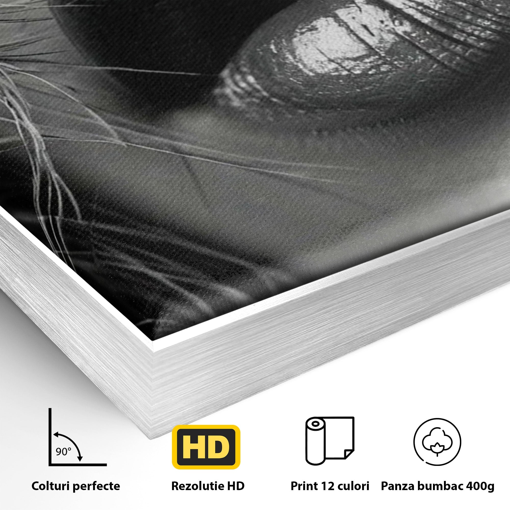 Tablou Canvas Premium LuxCanva® PI1039, Detaliu Buze Seducatoare, Portret, Buze, Detaliu, Arta, Dormitor, Culori Vibrante