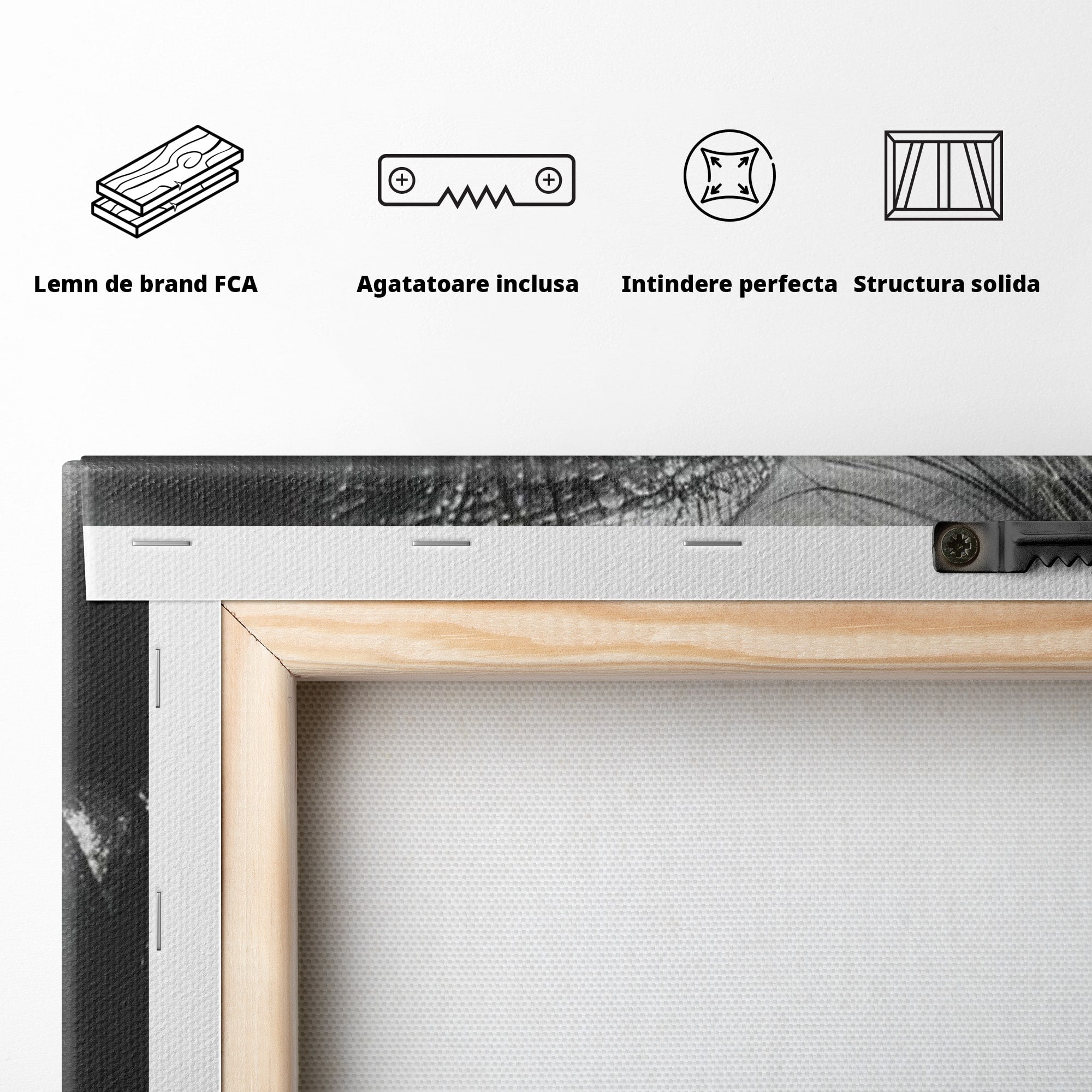 Tablou Canvas Premium LuxCanva® PI1039, Detaliu Buze Seducatoare, Portret, Buze, Detaliu, Arta, Dormitor, Culori Vibrante